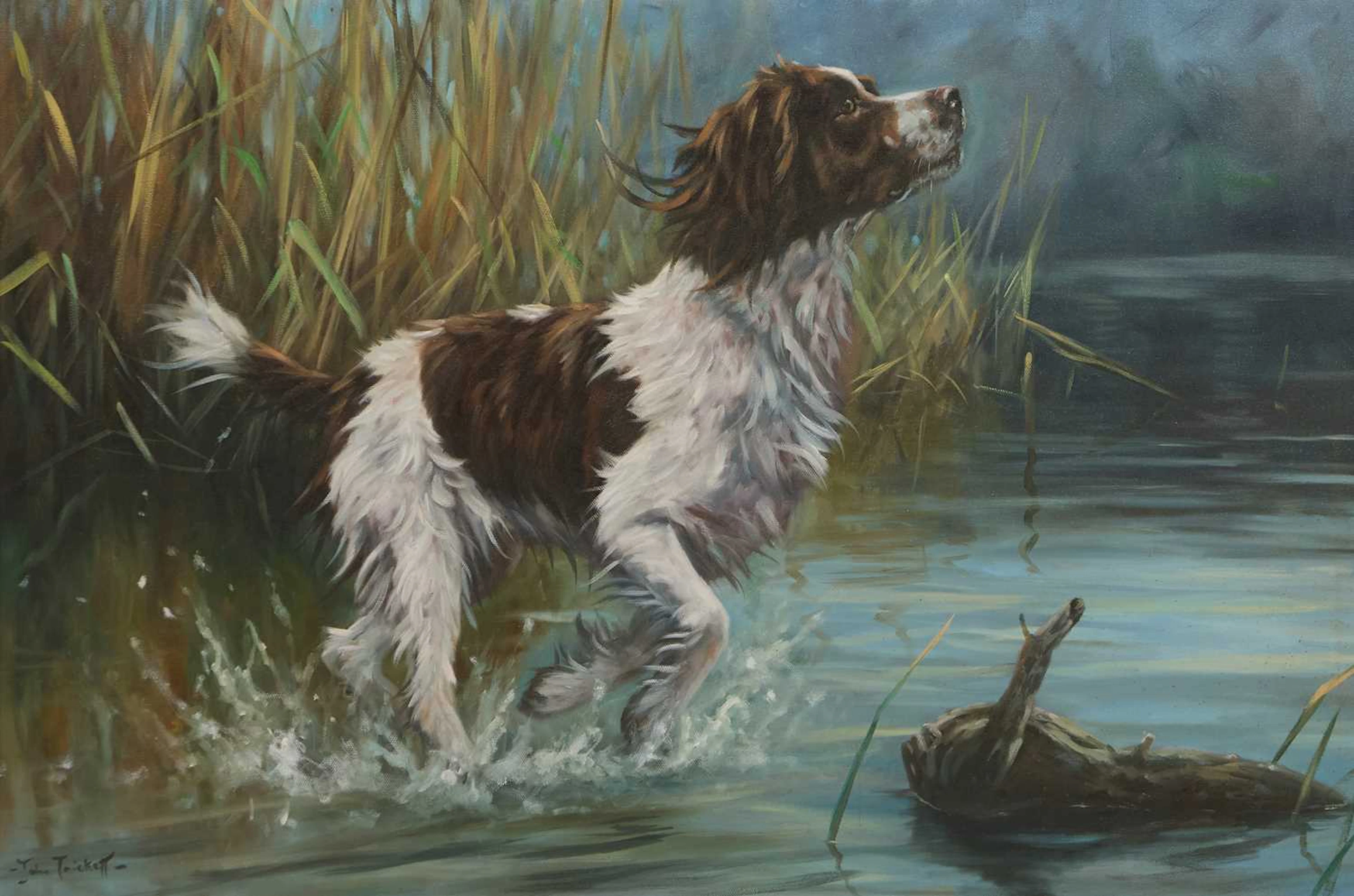 ▲ John Trickett (British, b.1952) A springer spaniel in water