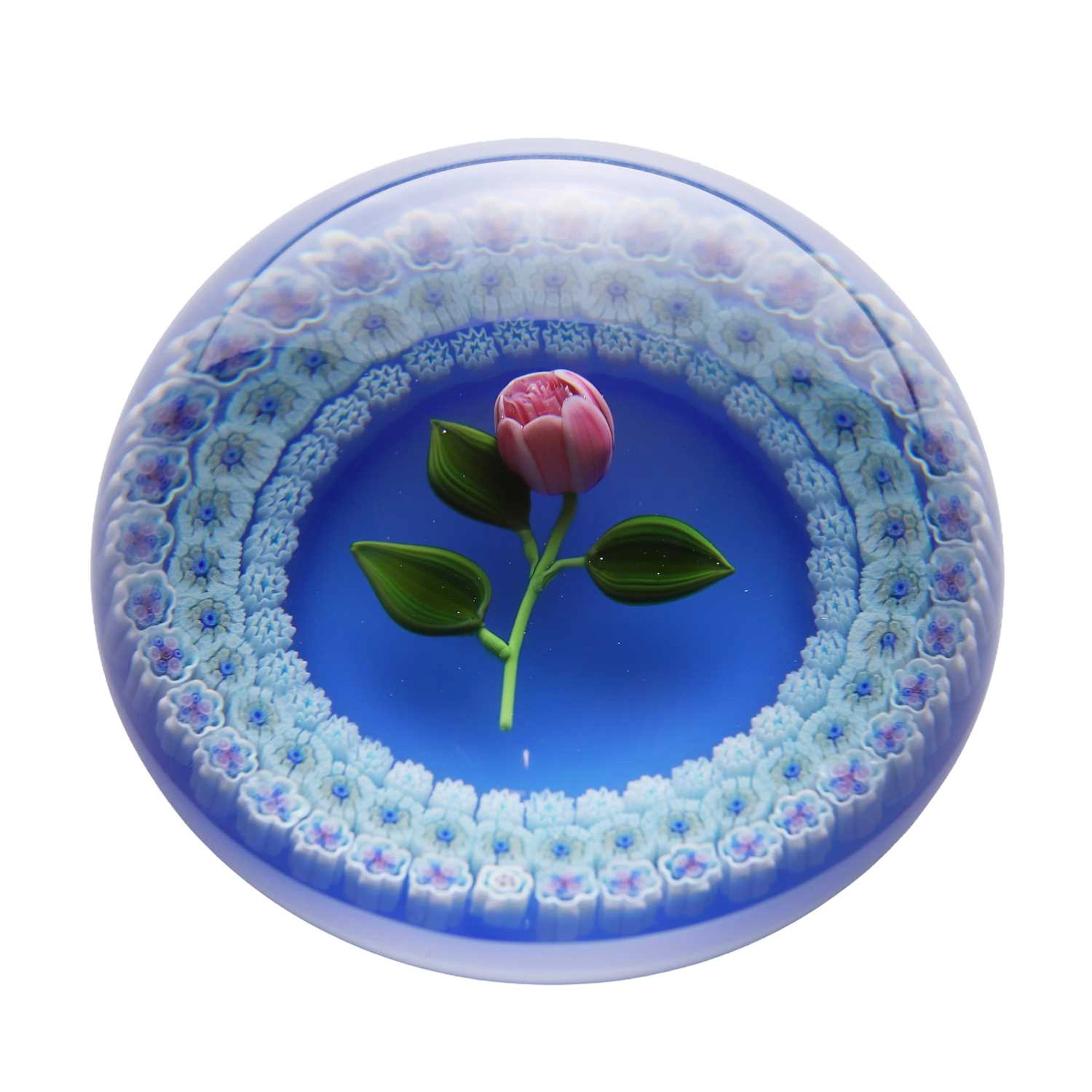 A limited edition Baccarat glass paperweight circa 1995, French