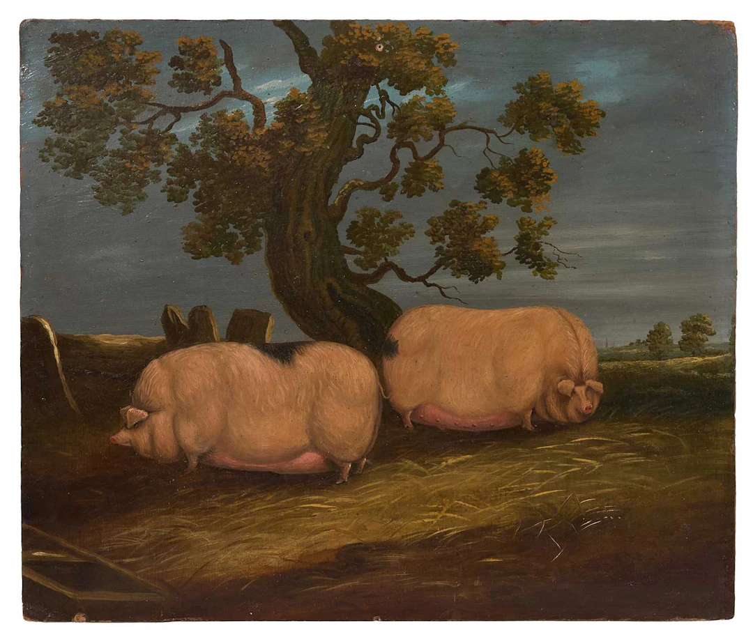 Manner of John Vine Study of two pigs