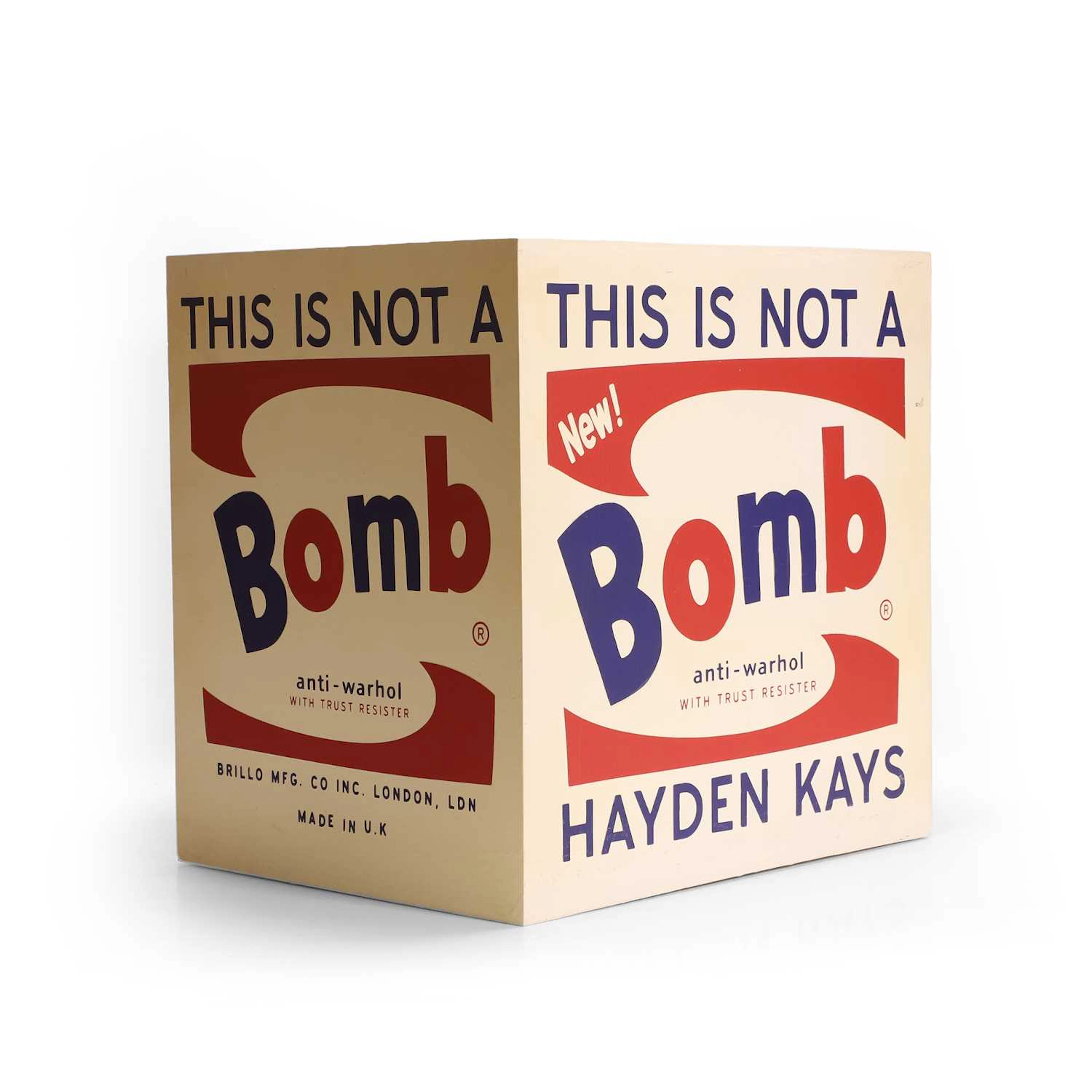 ▲ Hayden Kays (British, b.1985) 'This is Not a Bomb'