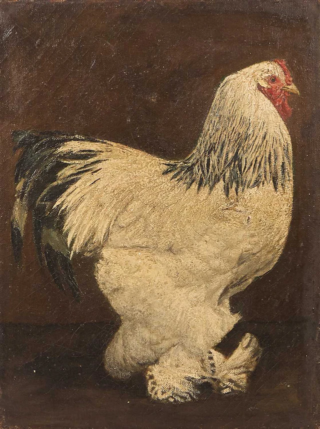 English School, 20th century A Brahma hen