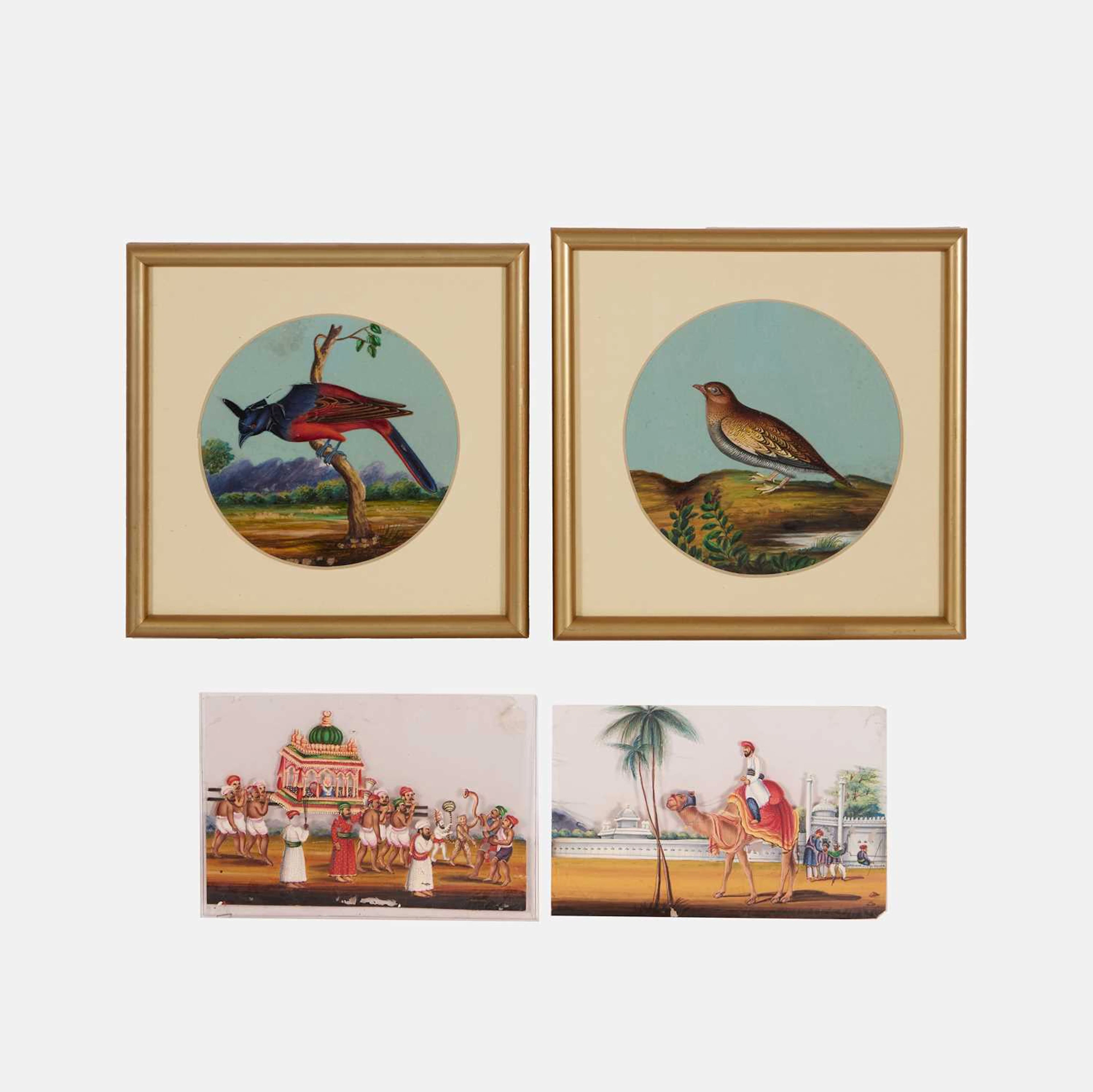 Two mica paintings of Indian birds 19th century, Northern India, possibly