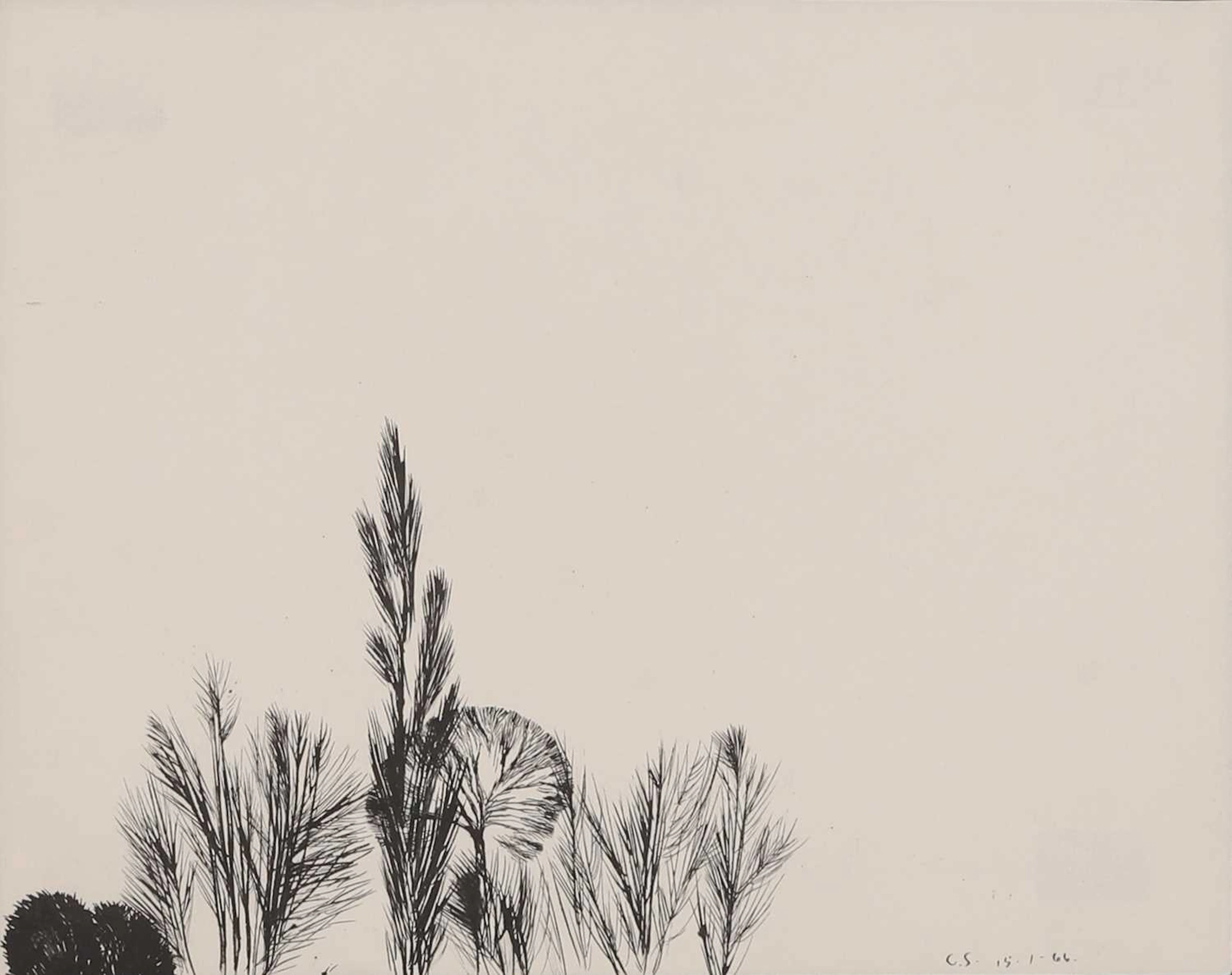 ▲ Colin Self (British, b.1941) 'Study for Trees in Winter'