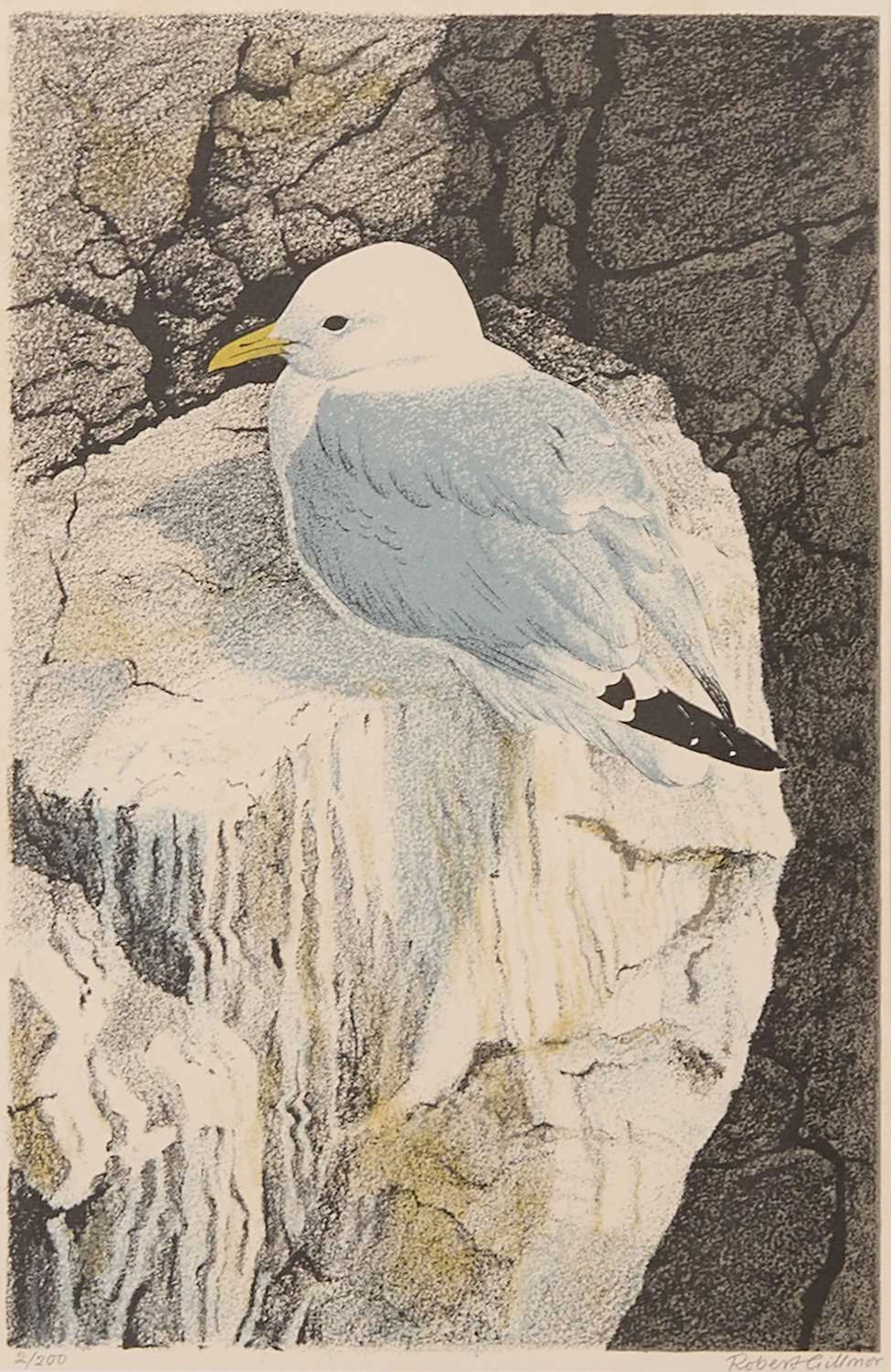 ▲ Robert Gillmor (British, 1936-2022) A gull on a clifftop