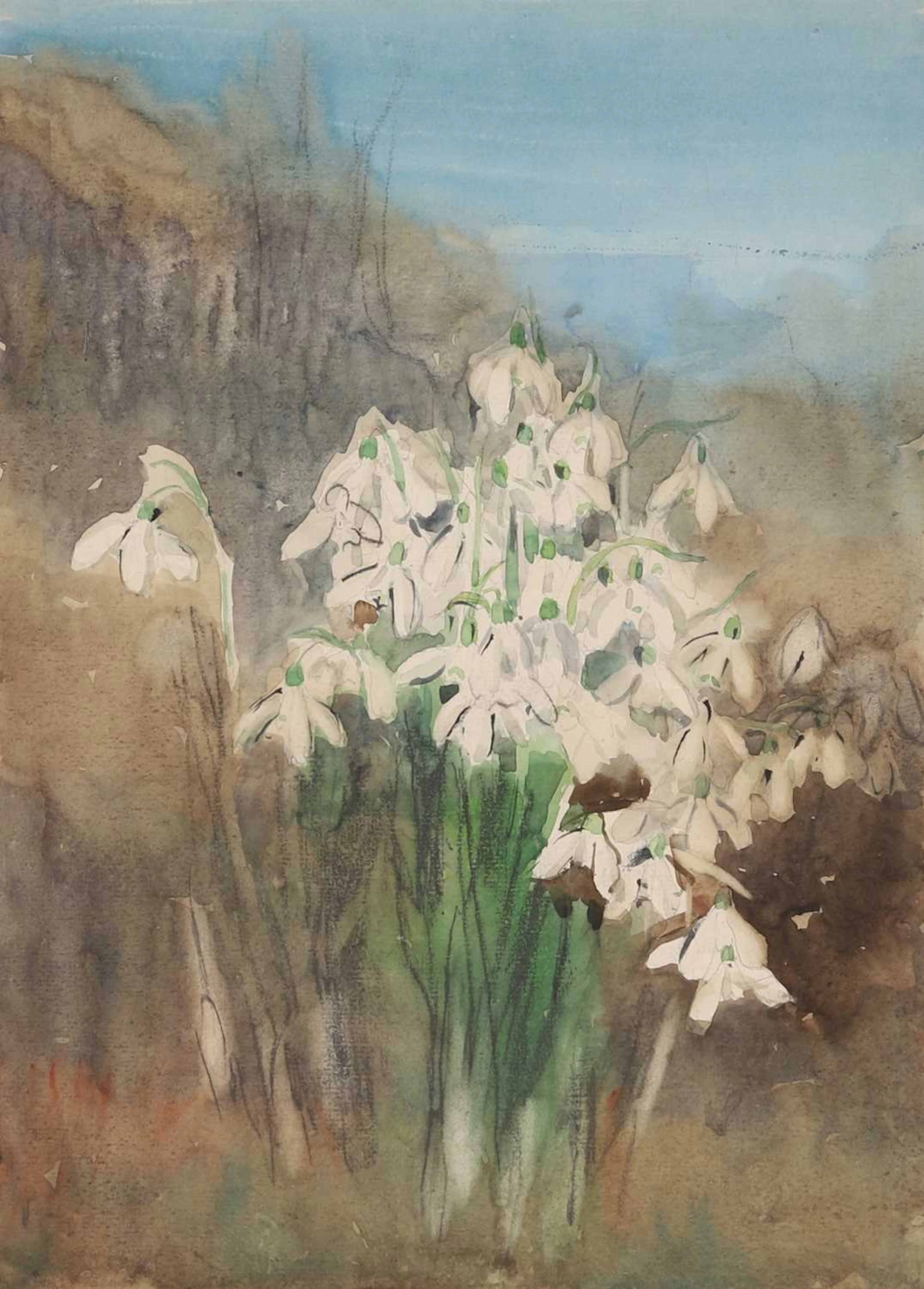 ▲ Katharine Cameron (British, 1874-1965) Snowdrops
