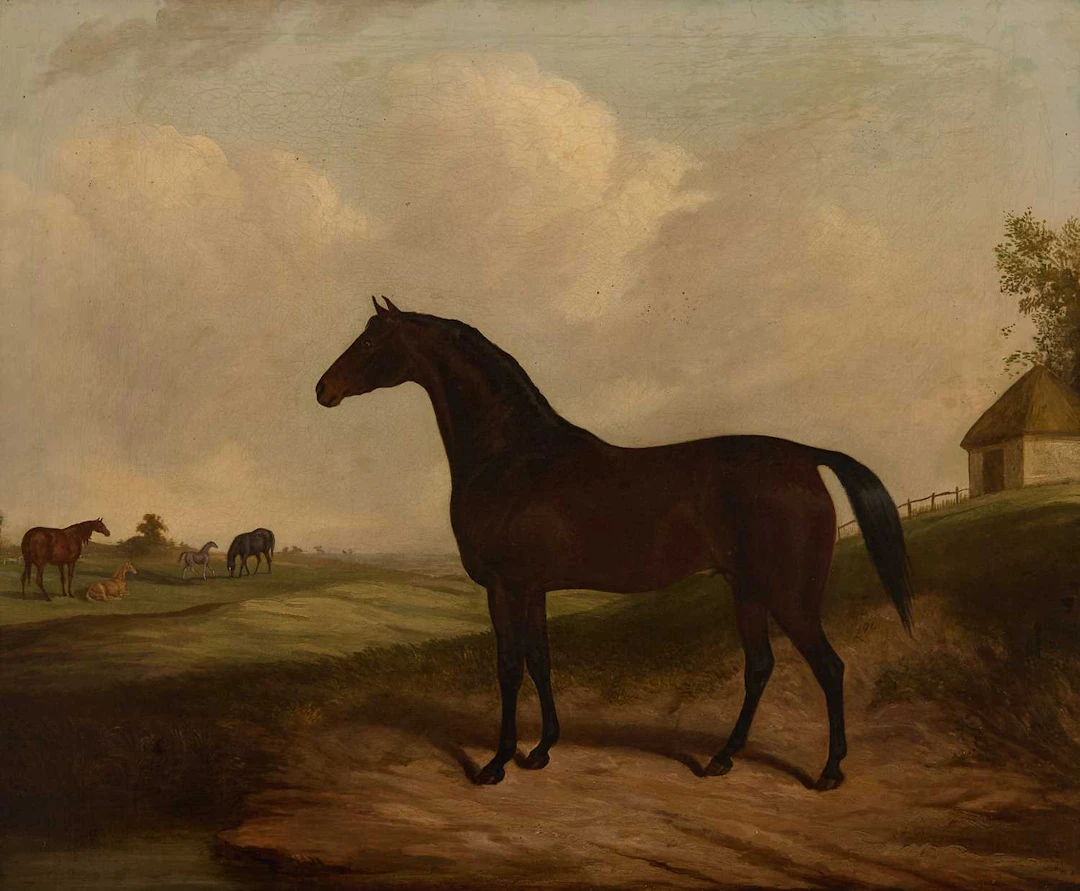 James Barenger (British, 1780-1831) Portrait of a bay in an open landscape