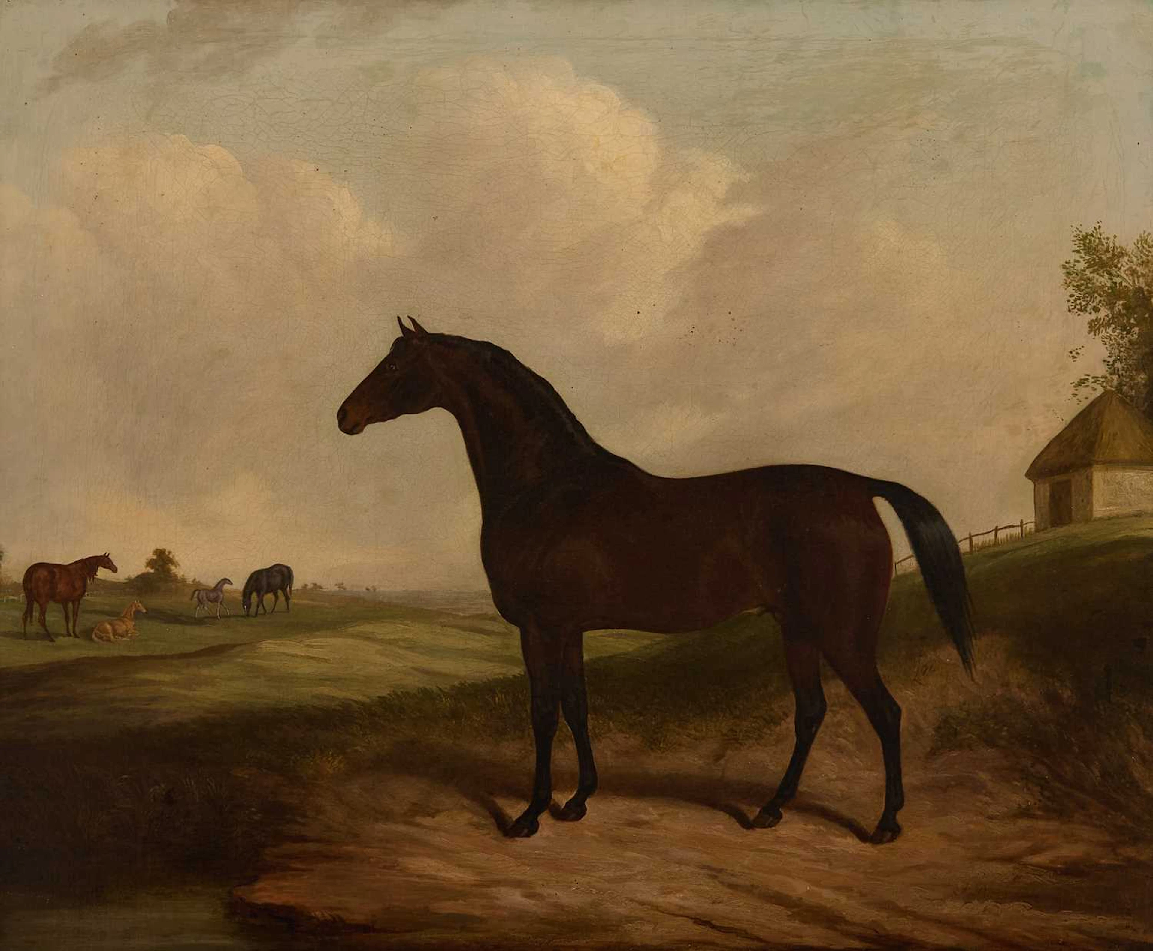 James Barenger (British, 1780-1831) Portrait of a bay in an open landscape