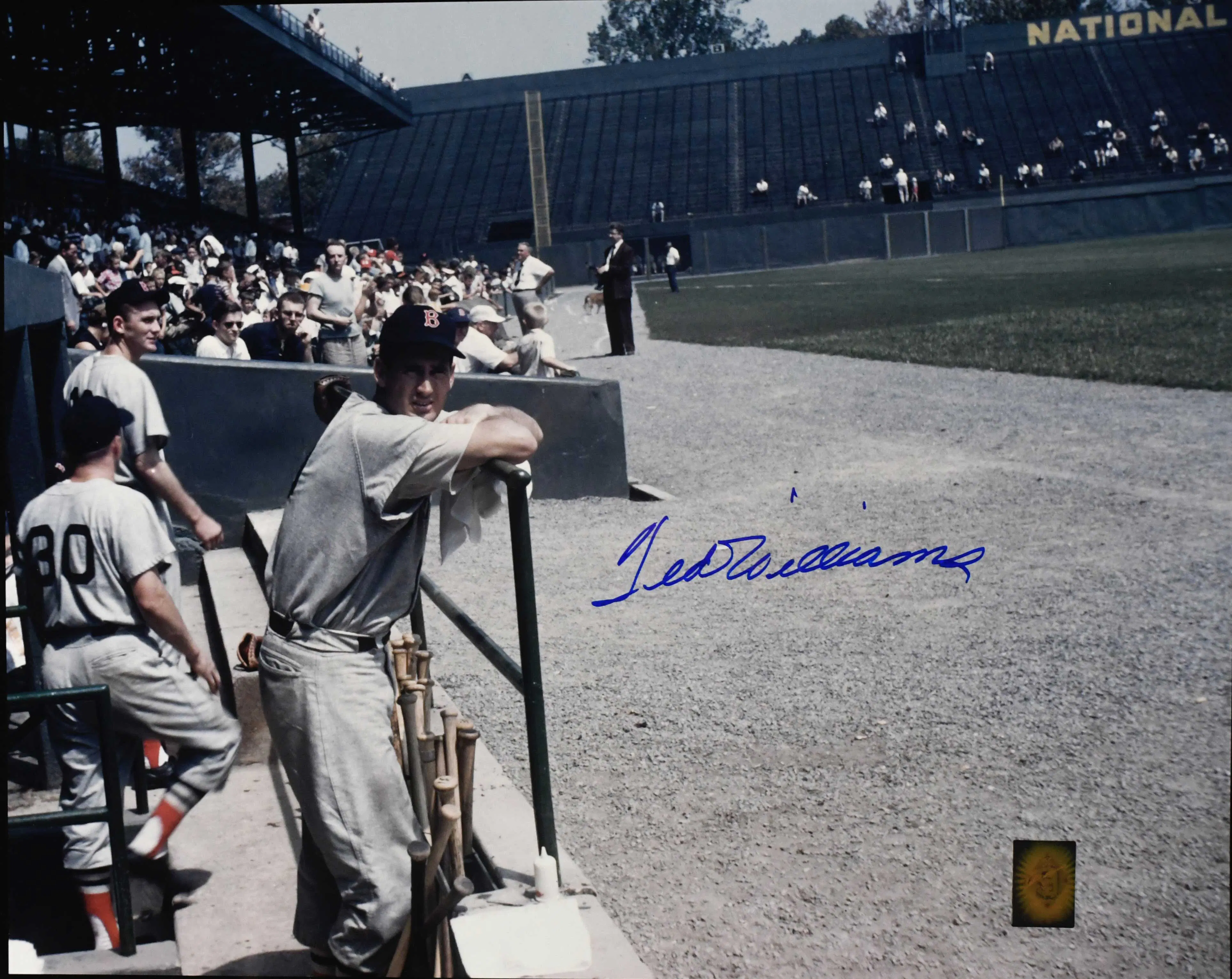 "Ted Williams signed 16""x20"" photograph - Green Diamond (NM)