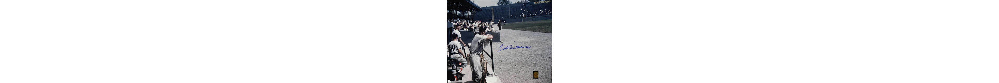 "Ted Williams signed 16""x20"" photograph - Green Diamond (NM)