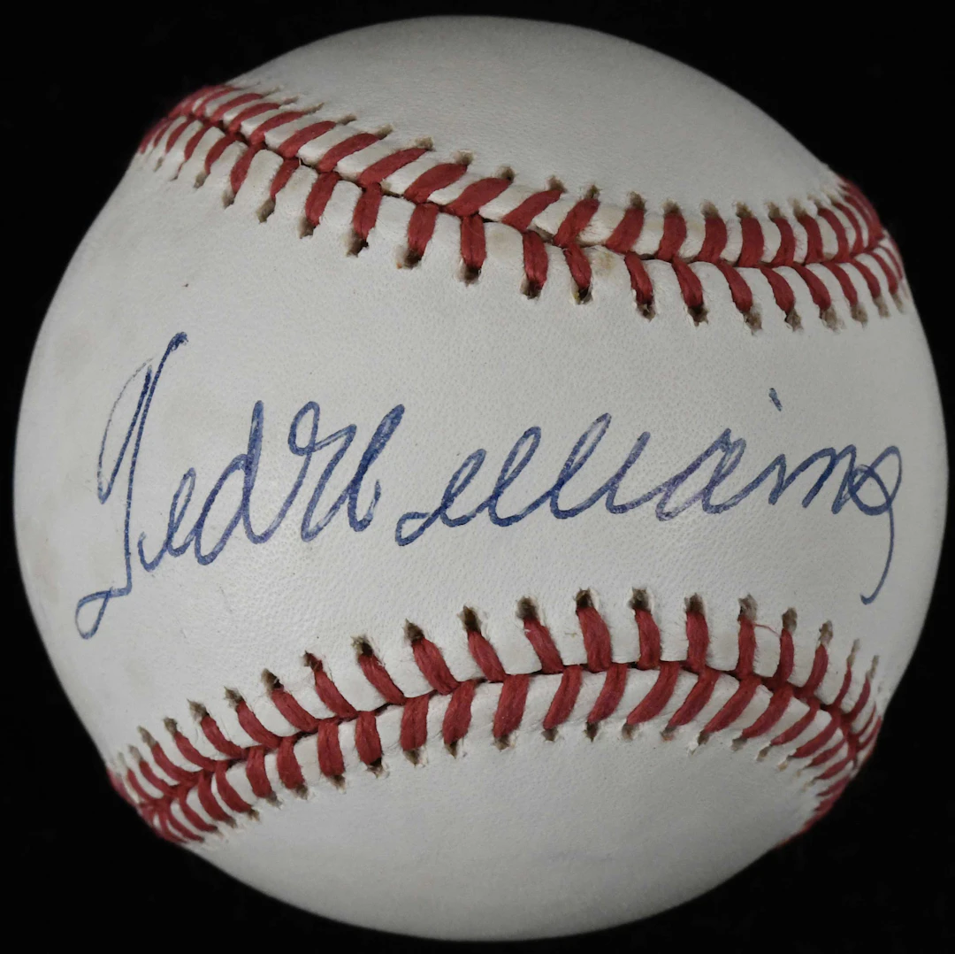 Ted Williams signed B.Brown AL baseball (EX/MT)