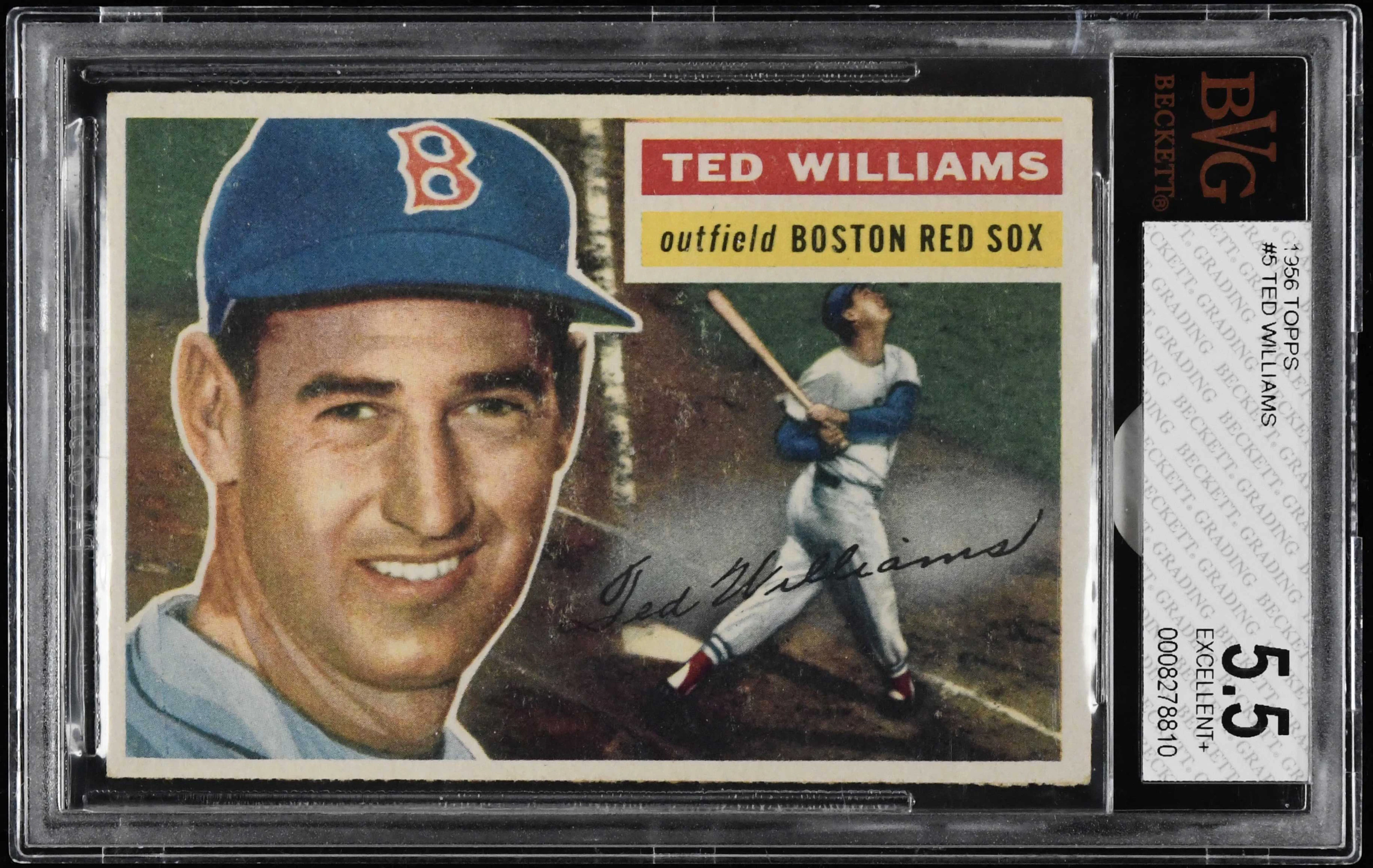 1956 Topps #5 Ted Williams white back (BVG 5.5 EX+)