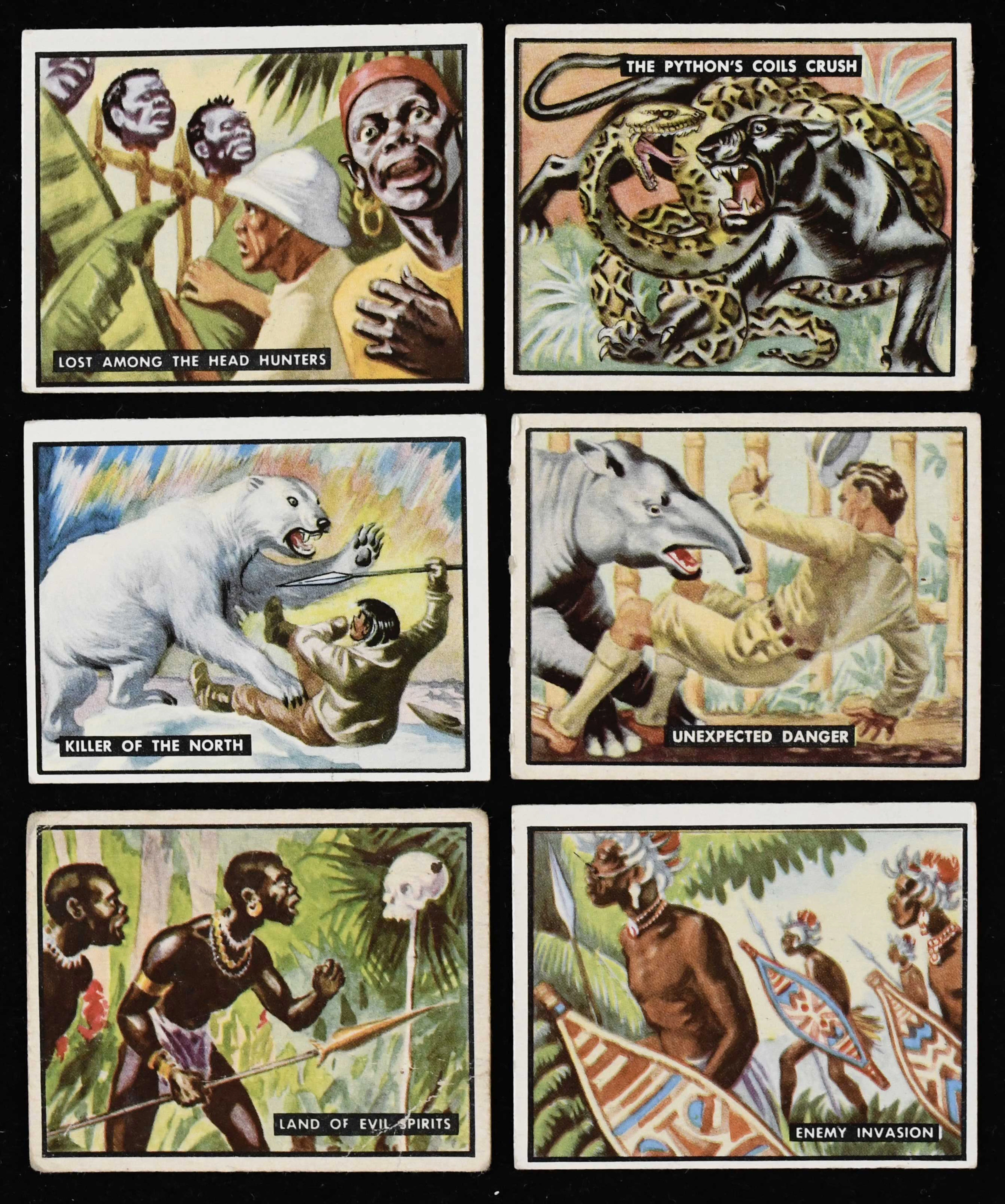 1950 Topps Bring 'Em Back Alive complete set (100...