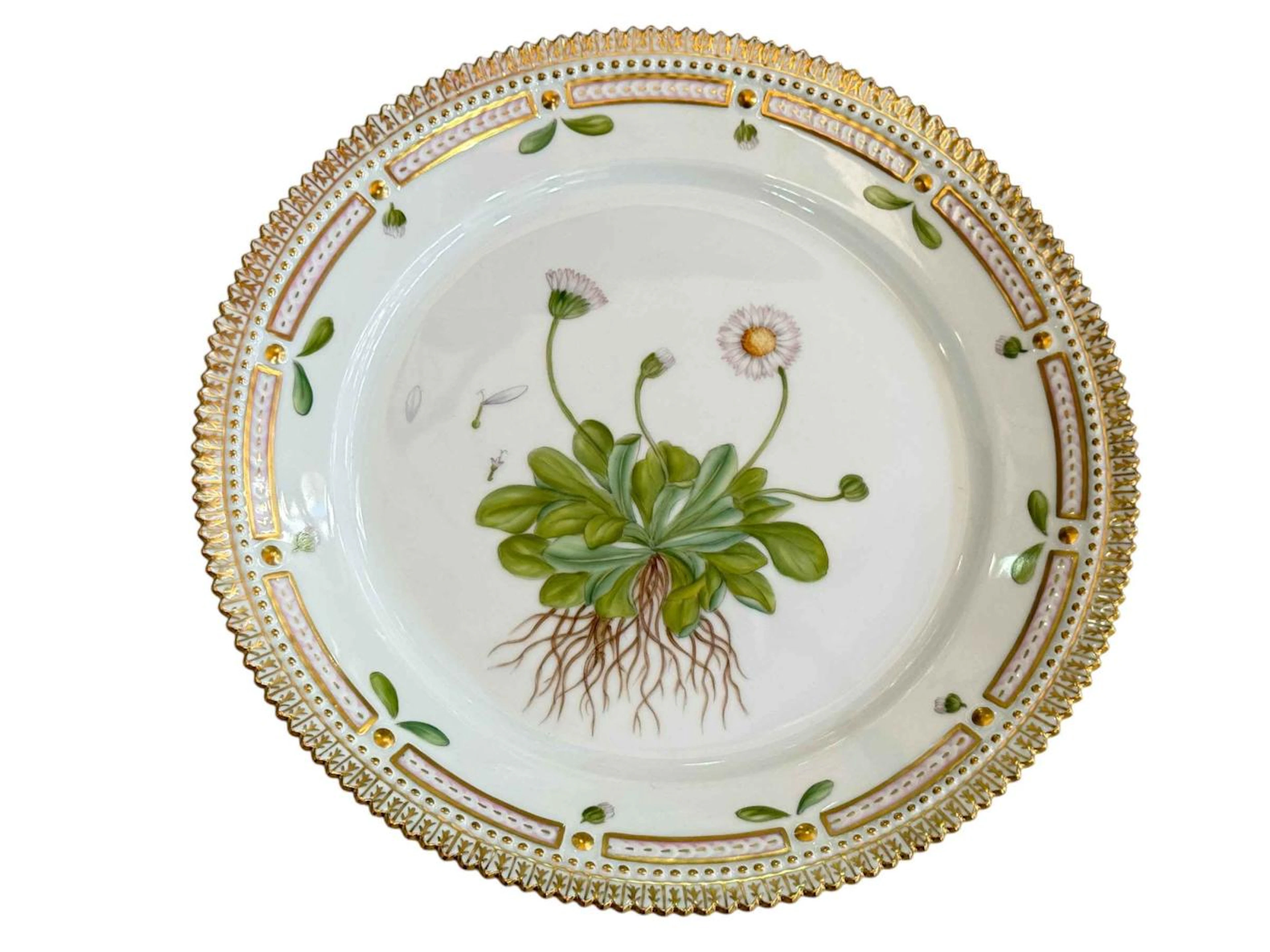 Boxed Royal Copenhagen Flora Danica plate painted with botanical specimen