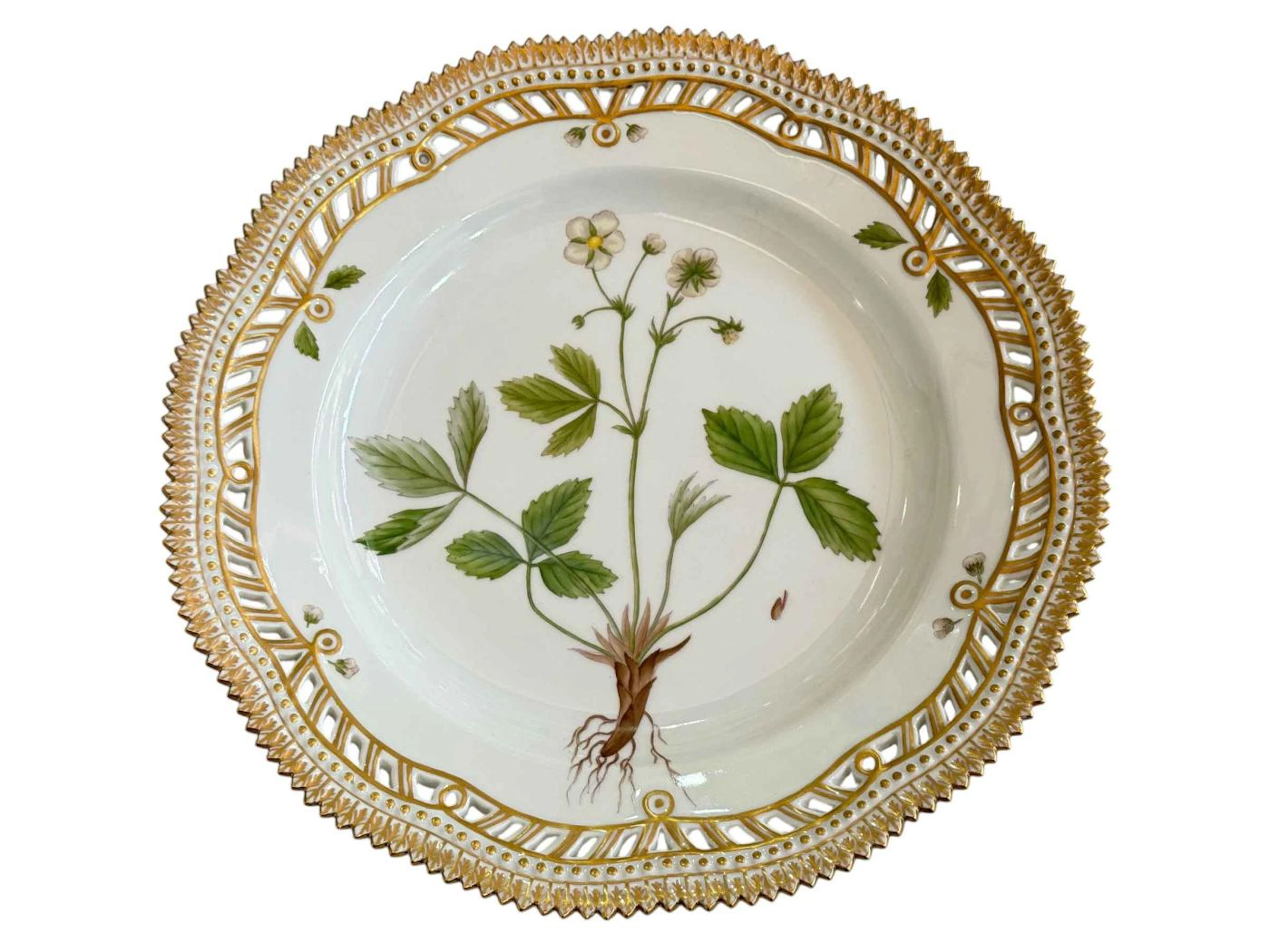 Royal Copenhagen Flora Danica plate painted with botanical specimen