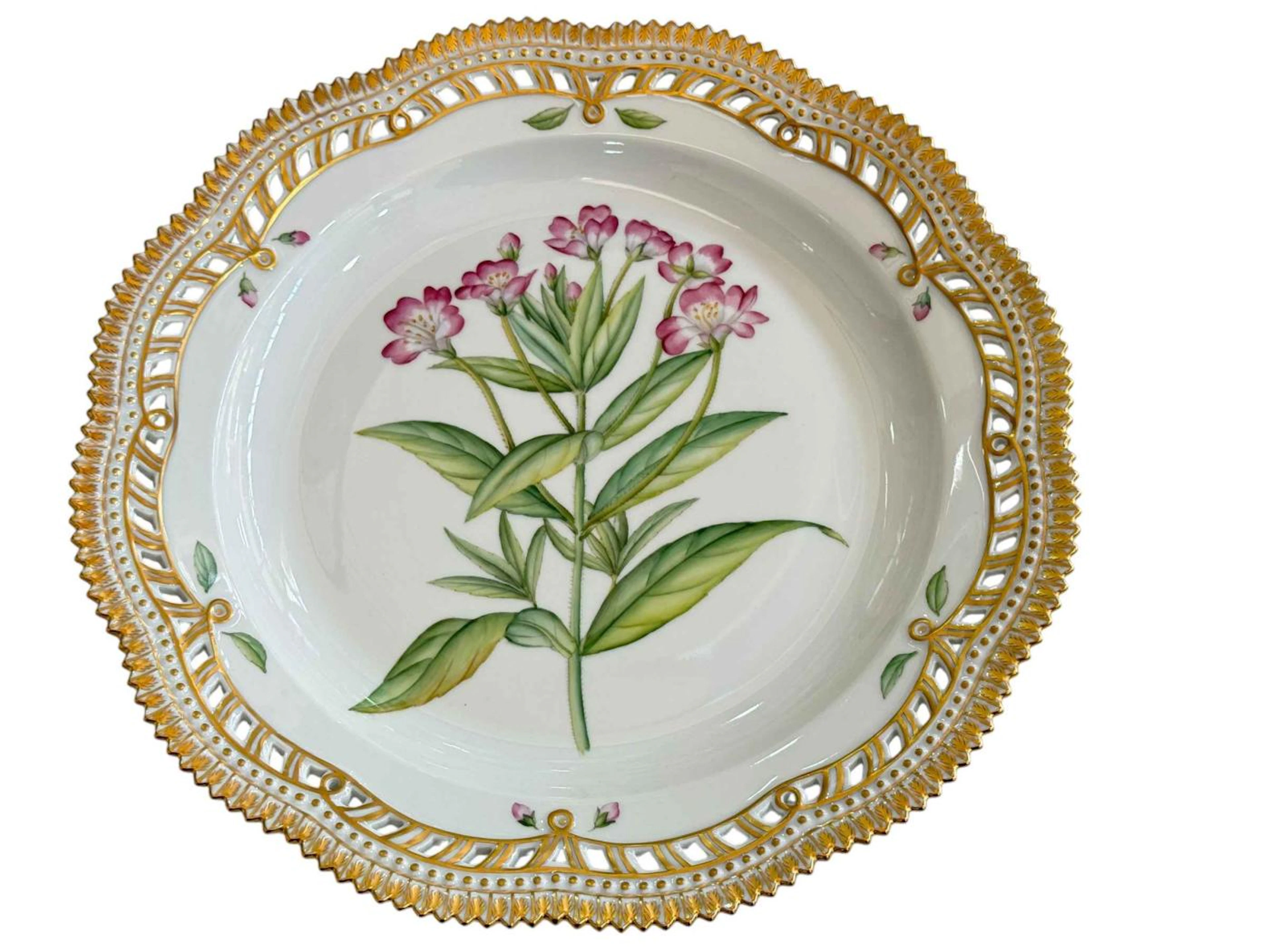 Royal Copenhagen Flora Danica plate painted with botanical specimen