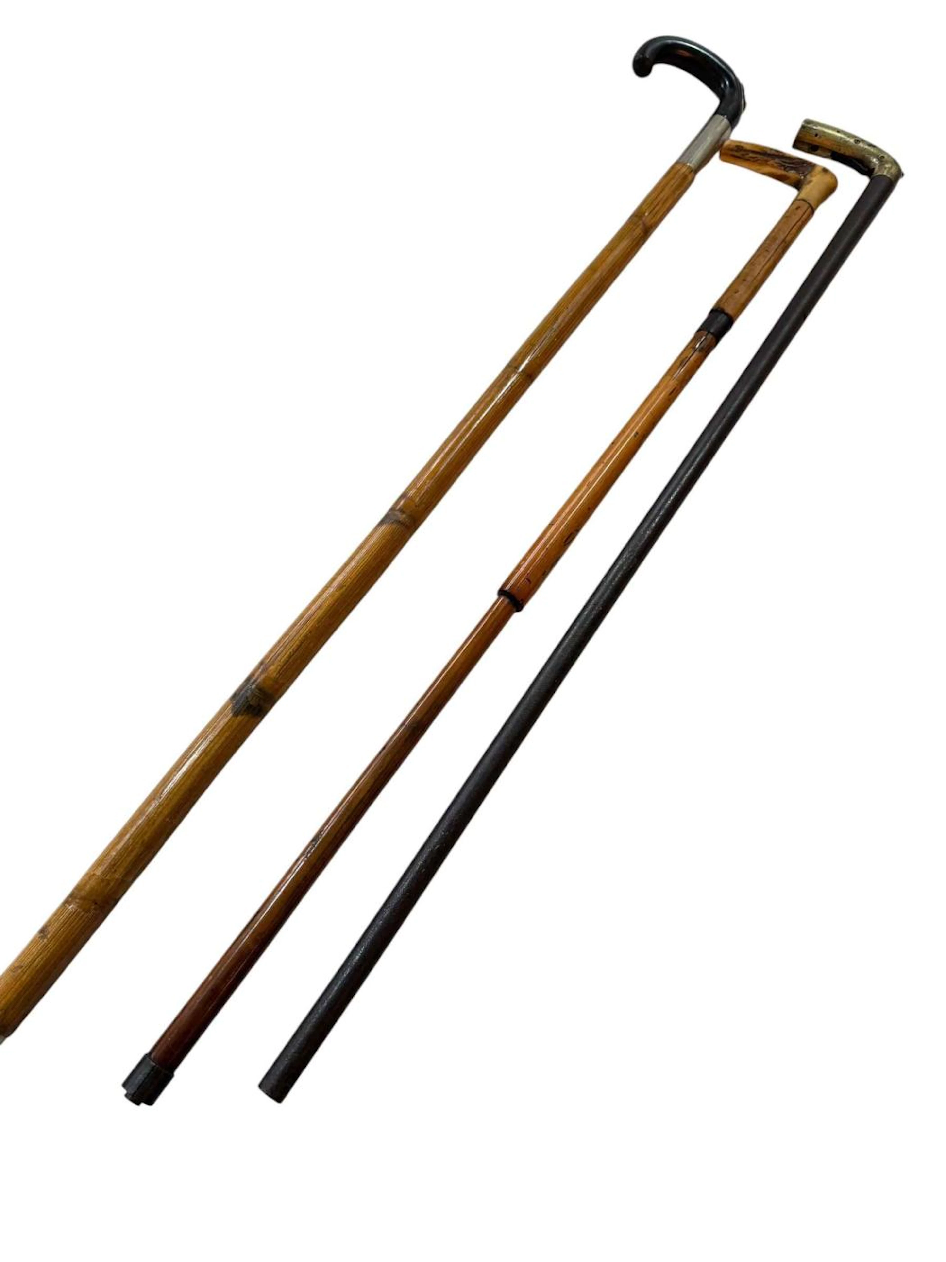 Horse measuring walking stick with composite handle and two cap gun sticks (3).