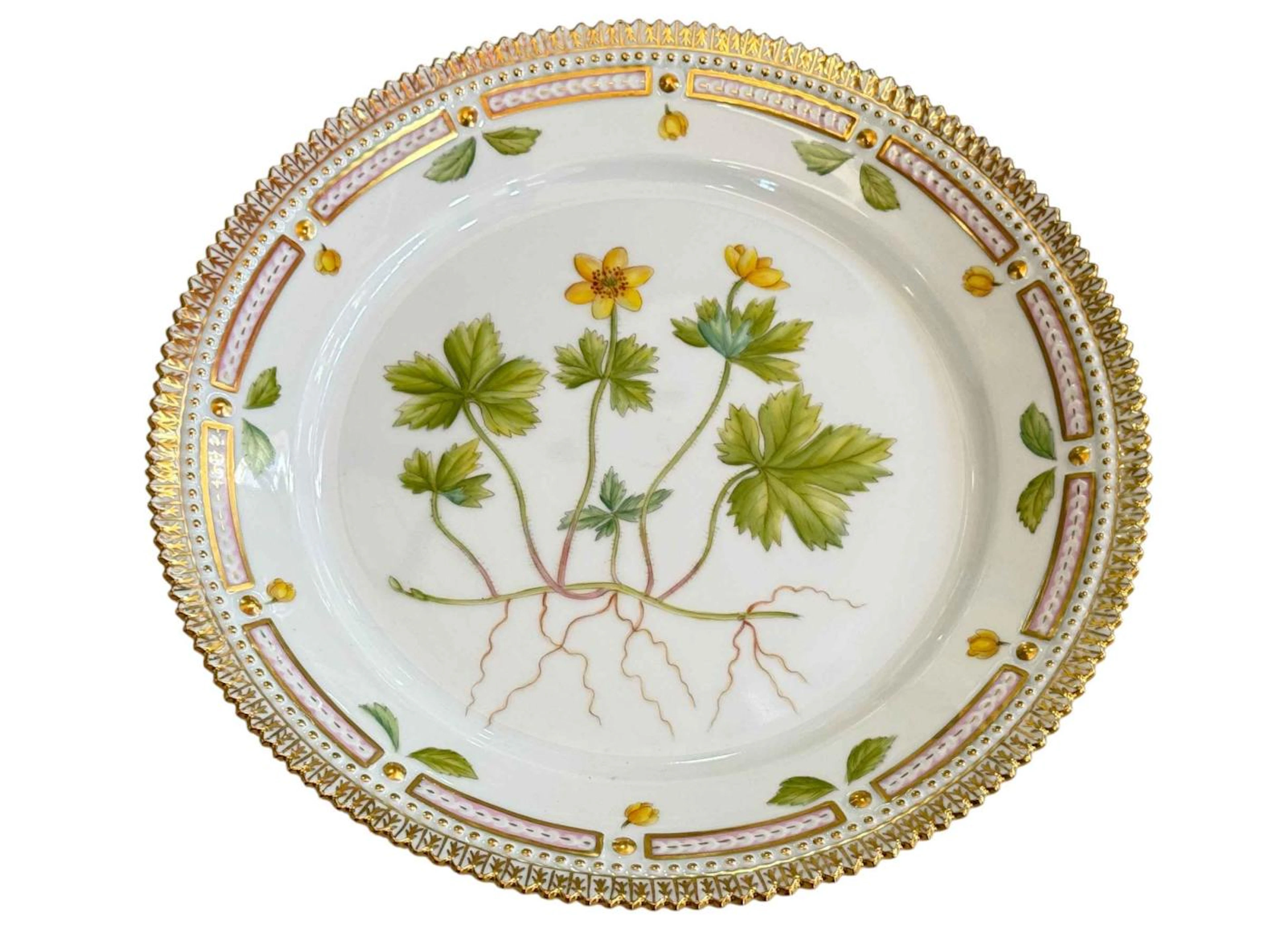 Boxed Royal Copenhagen Flora Danica plate painted with botanical specimen