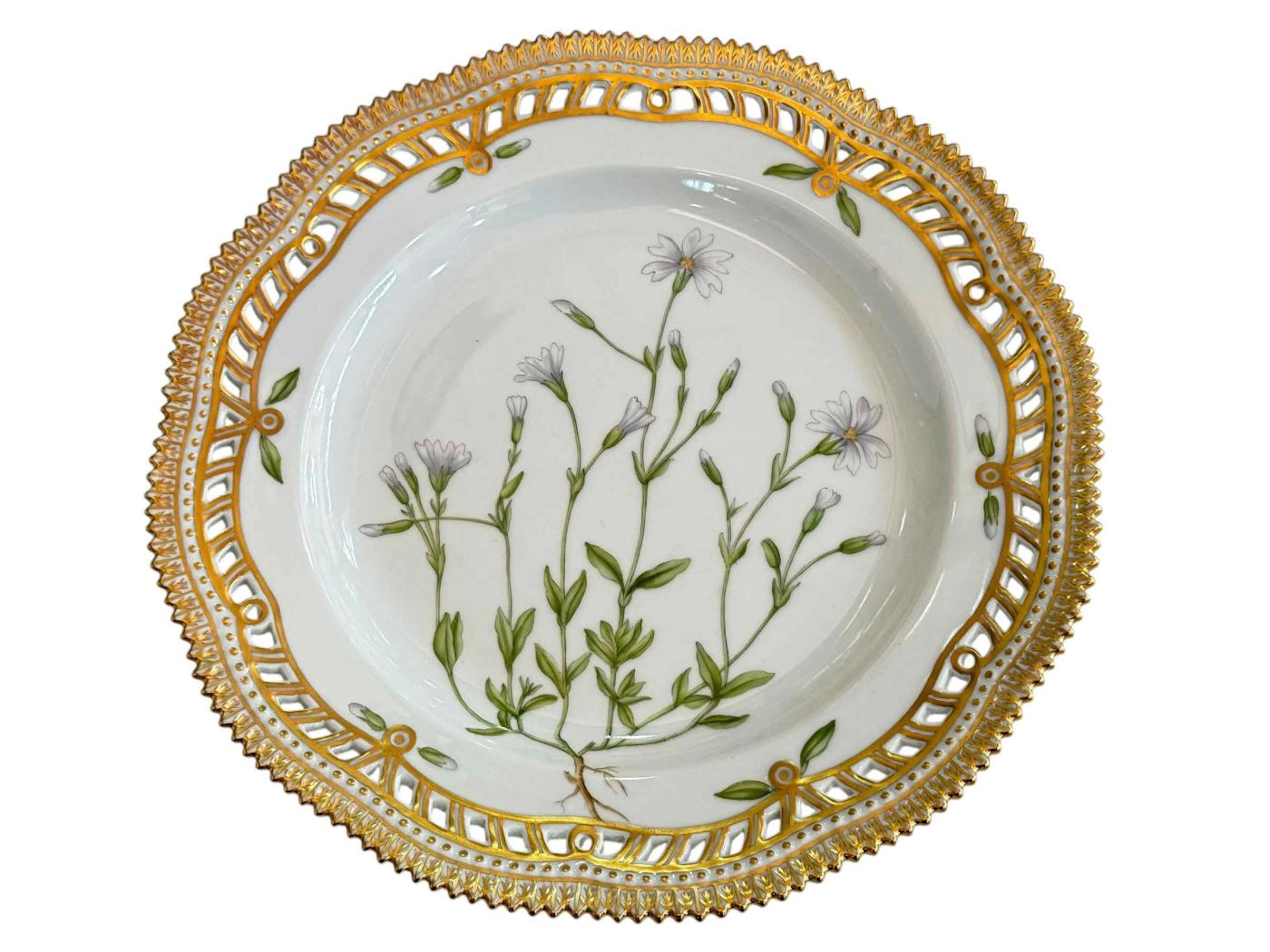 Royal Copenhagen Flora Danica plate painted with botanical specimen