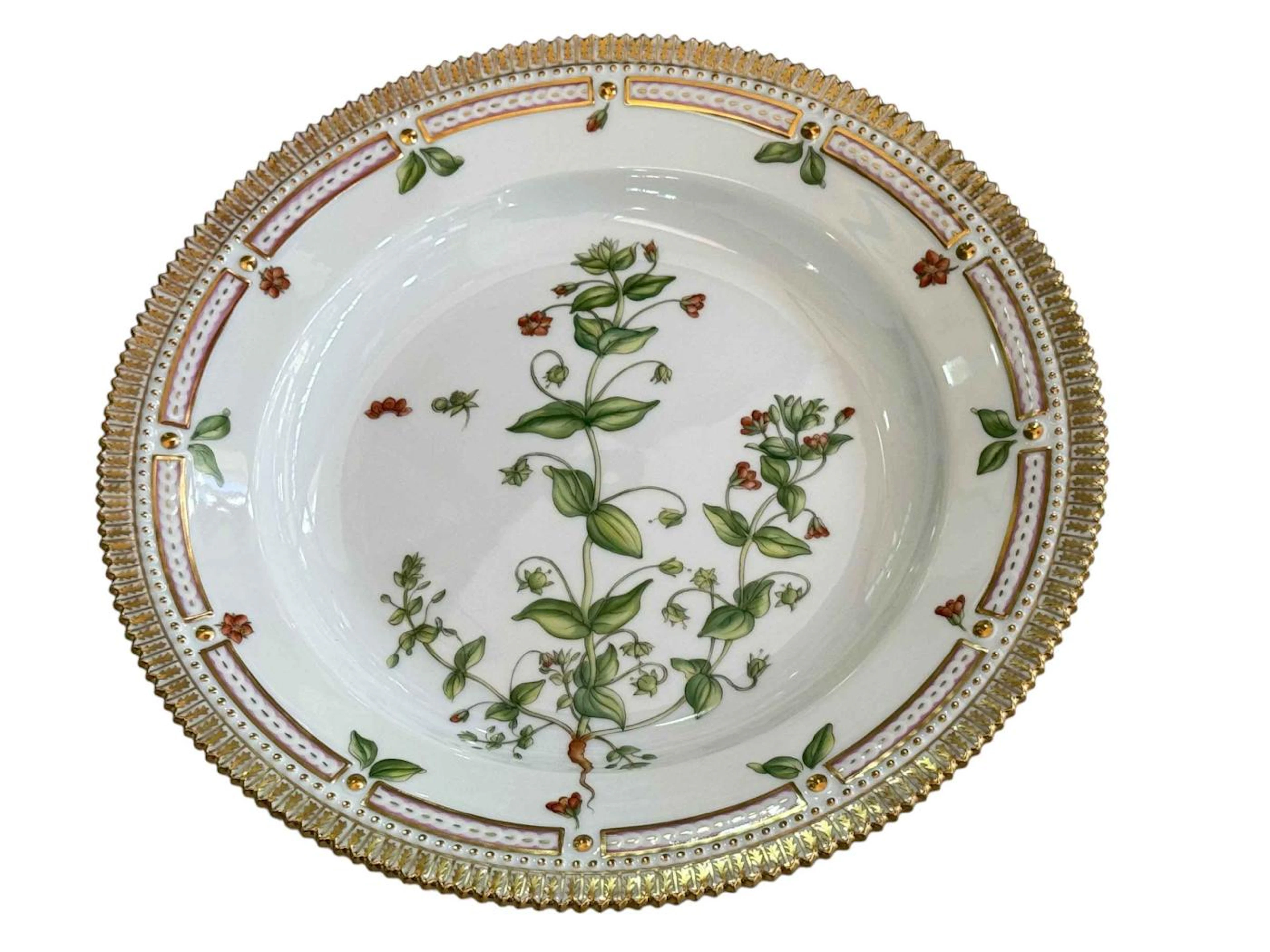 Boxed Royal Copenhagen Flora Danica plate painted with botanical specimen