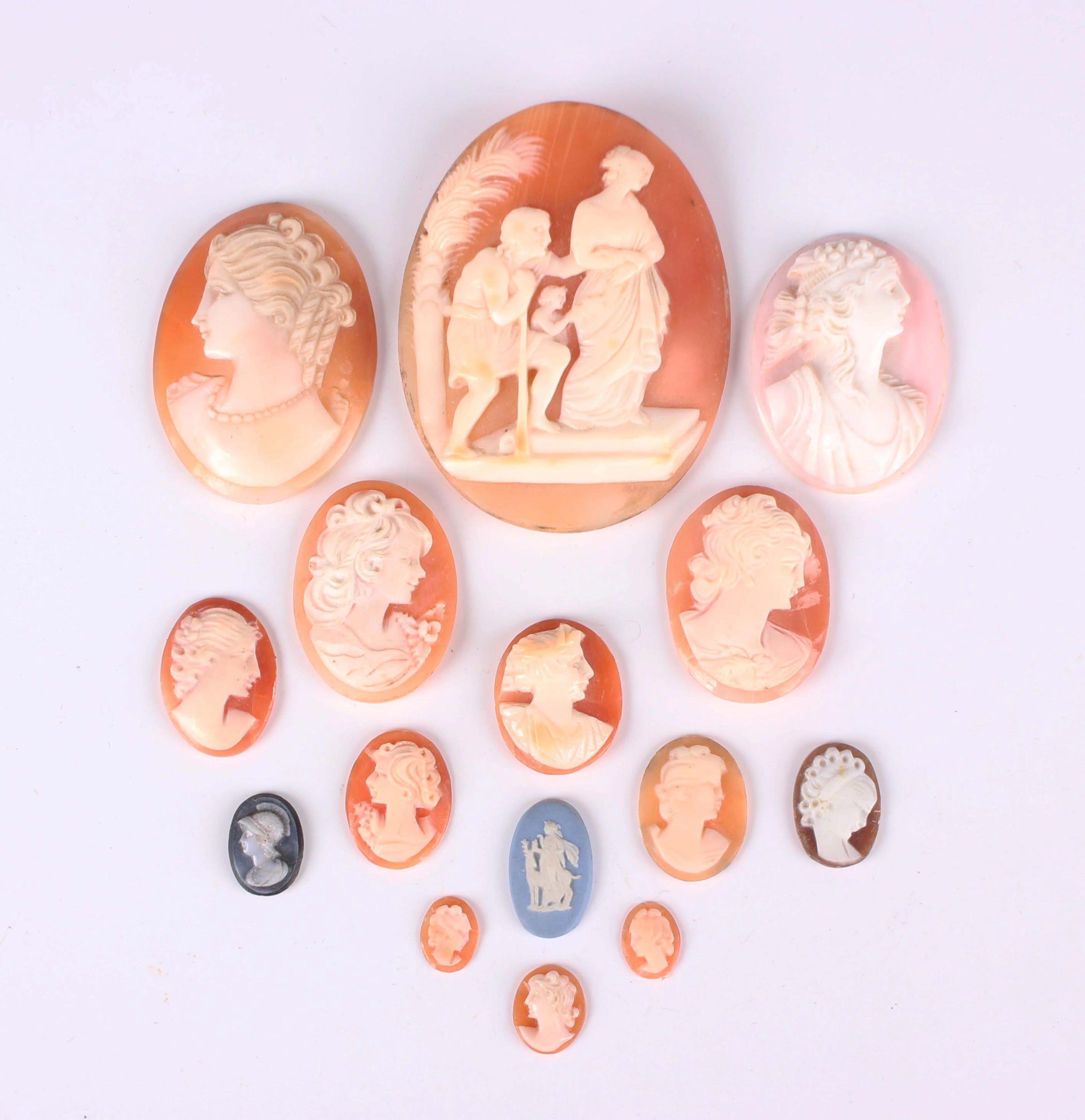 Fifteen oval cameos, the majority shell, including one carved with