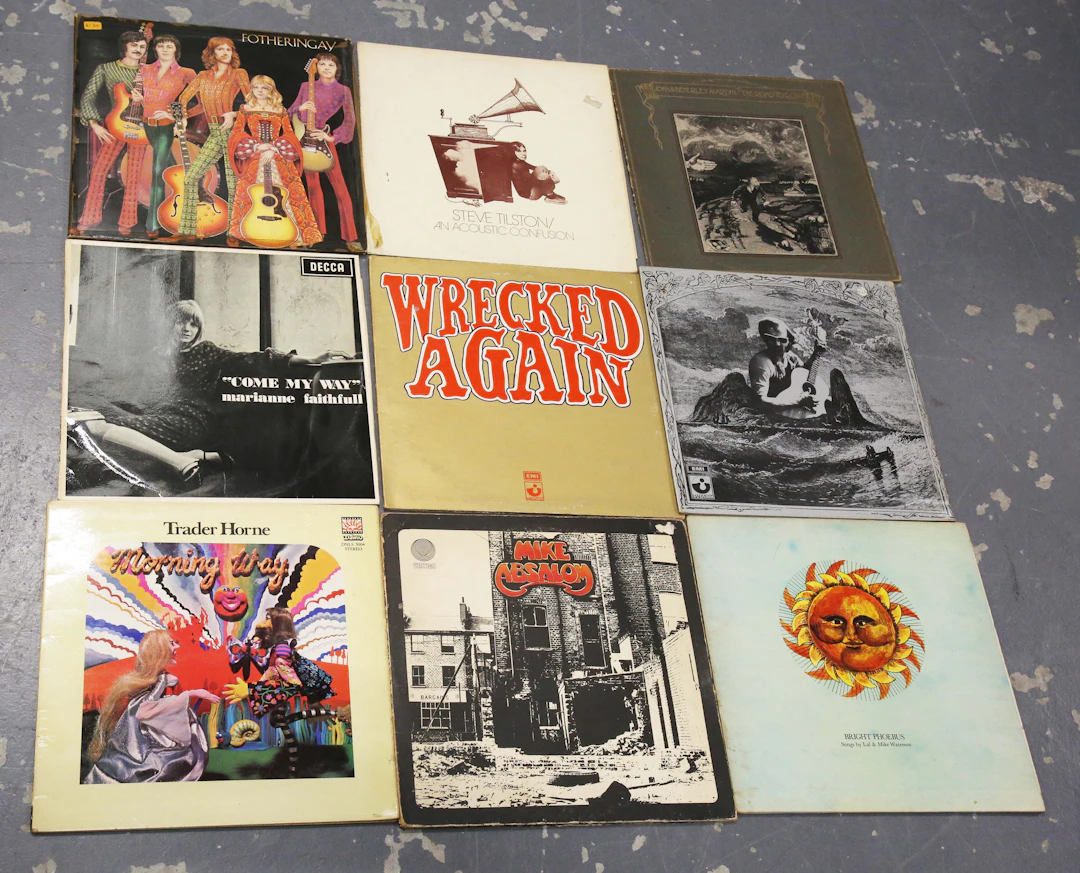 A collection of approximately forty LP records, mainly folk related