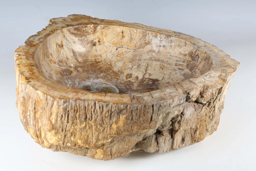 A carved basin, formed from a prehistoric section of petrified wood
