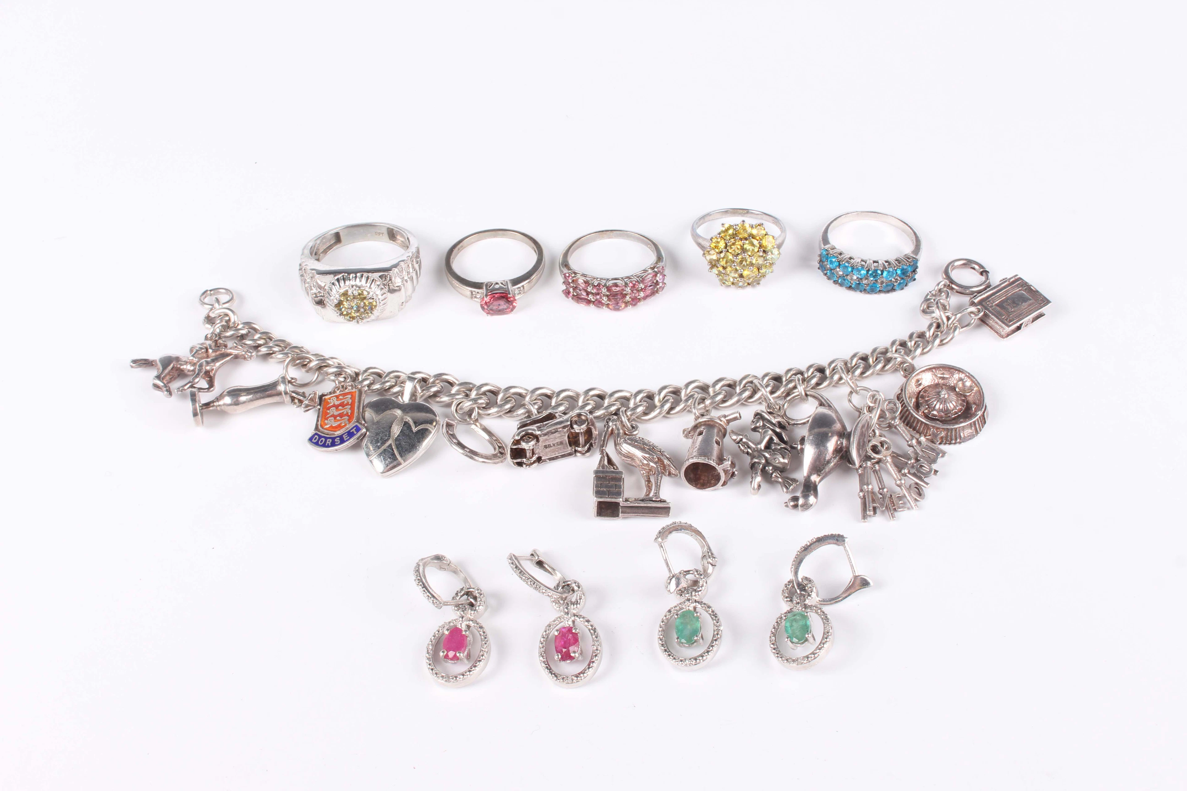 A silver curblink charm bracelet, fitted with a variety of mostly