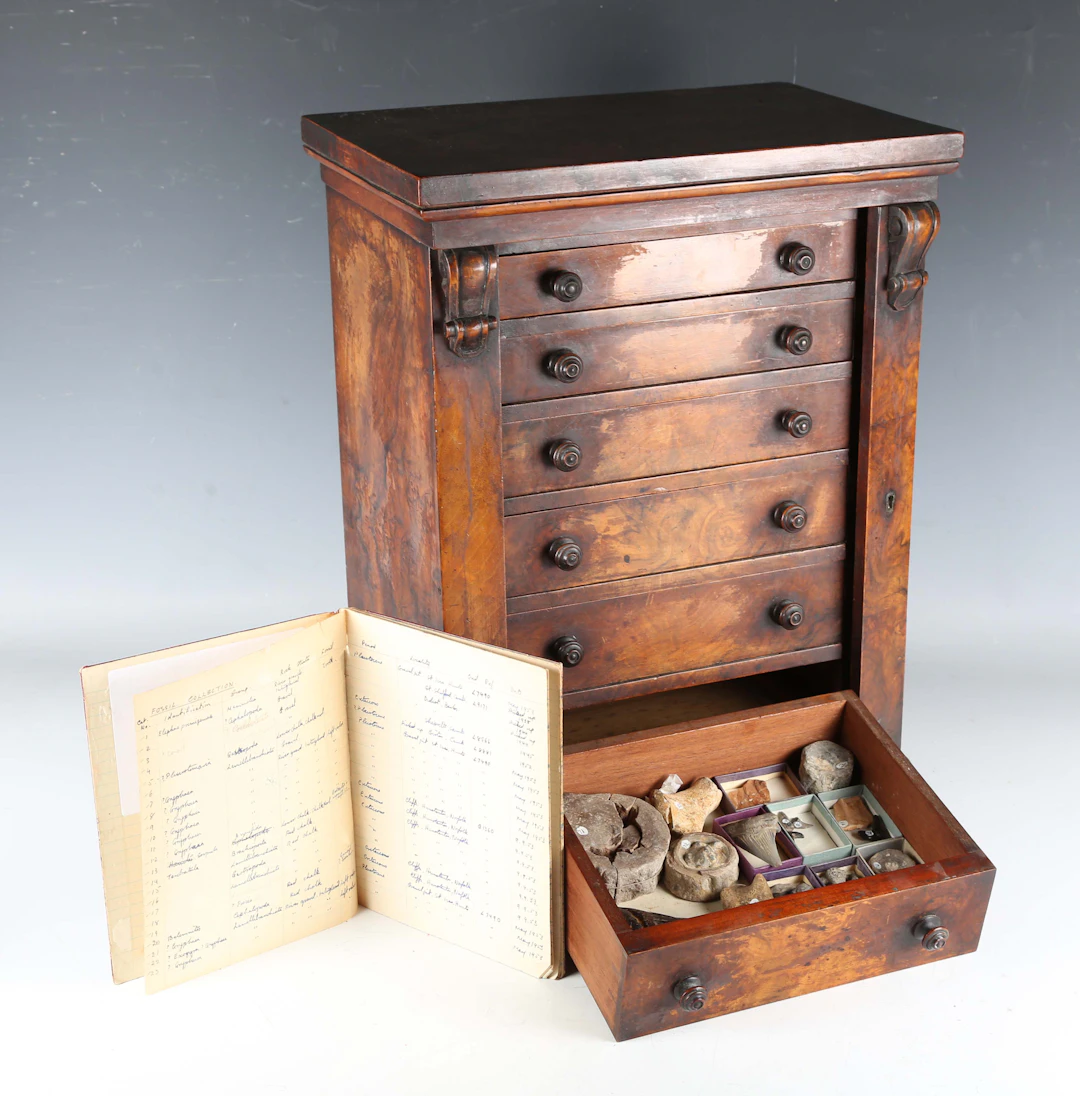A Victorian walnut table-top Wellington collector's chest of six drawers