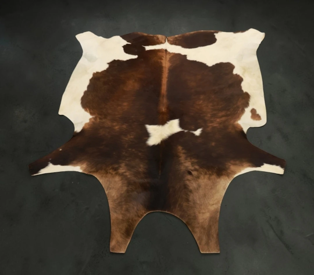 Kohud