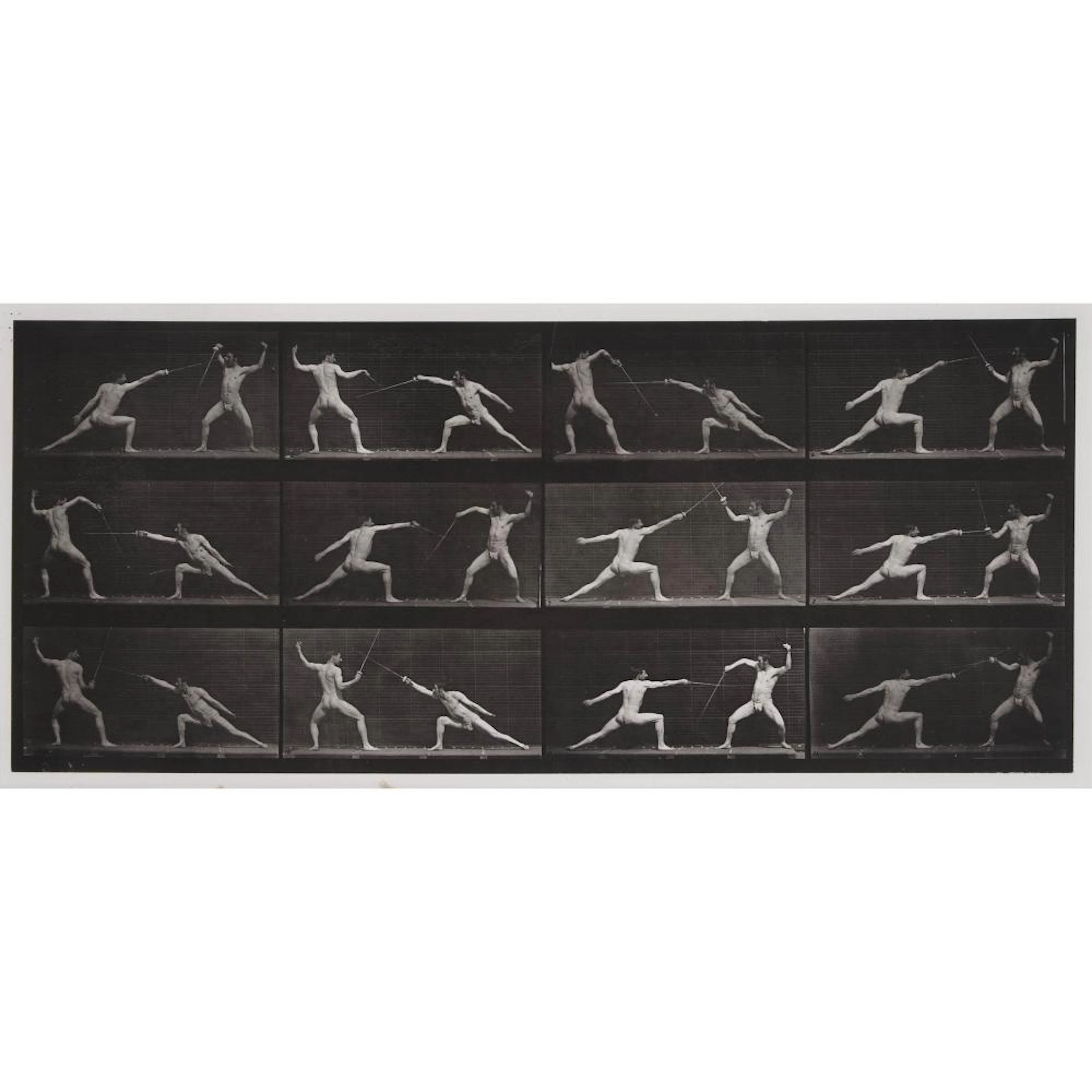 Eadweard Muybridge (1830-1904), PLATE 349 FROM ANIMAL LOCOMOTION, 1887