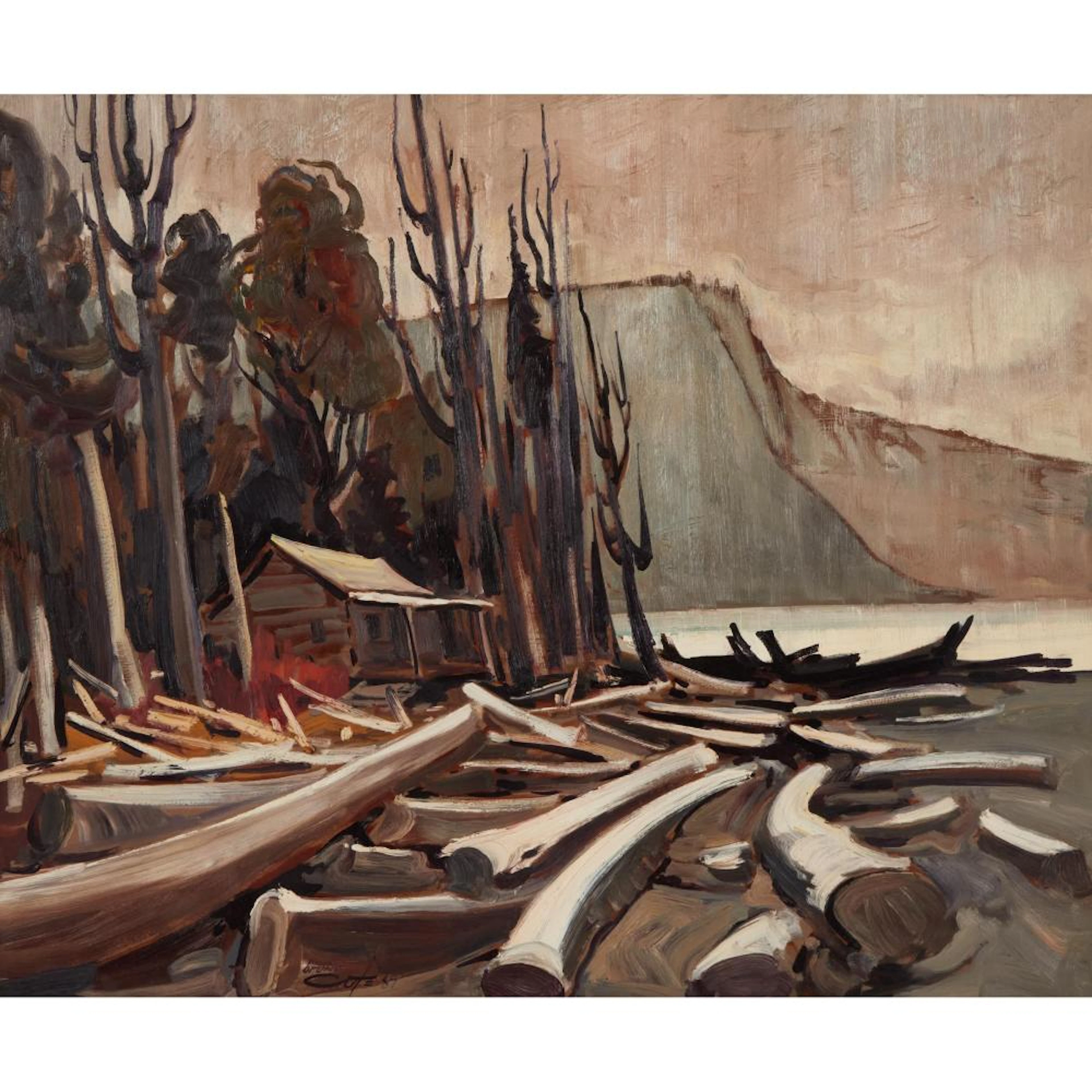 Bruno Côté (1940-2010), ÎLE DE VANCOUVER, 1987