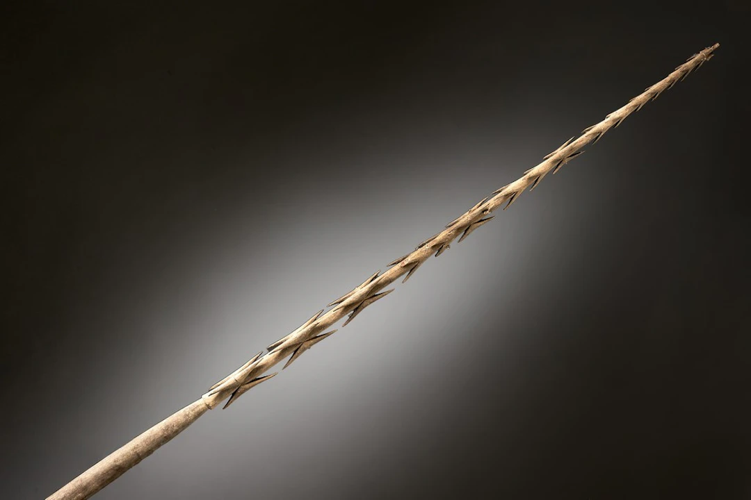 Lance de guerre en bois sculpté à multiples arêtes, Iles Fidji, Première