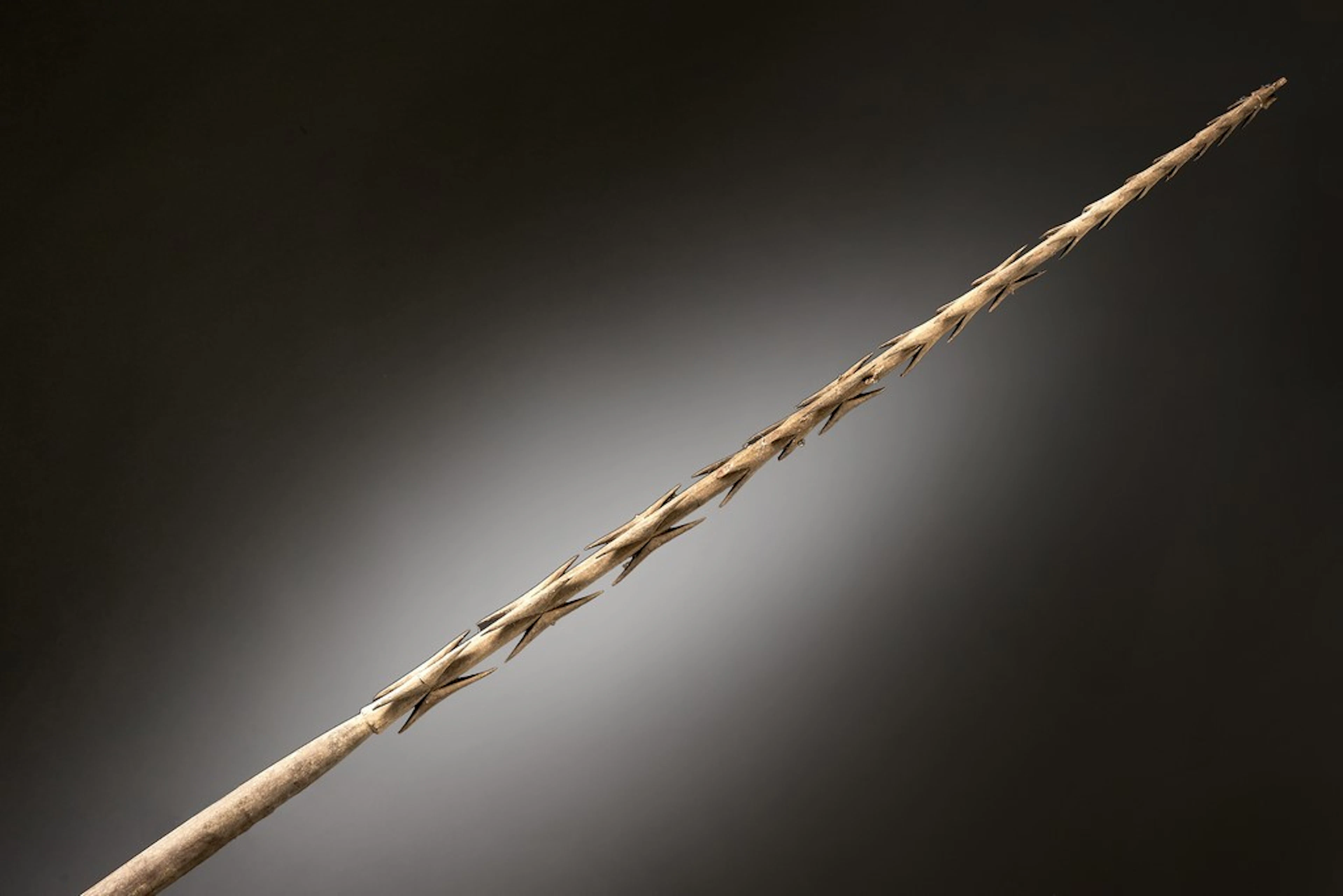 Lance de guerre en bois sculpté à multiples arêtes, Iles Fidji, Première