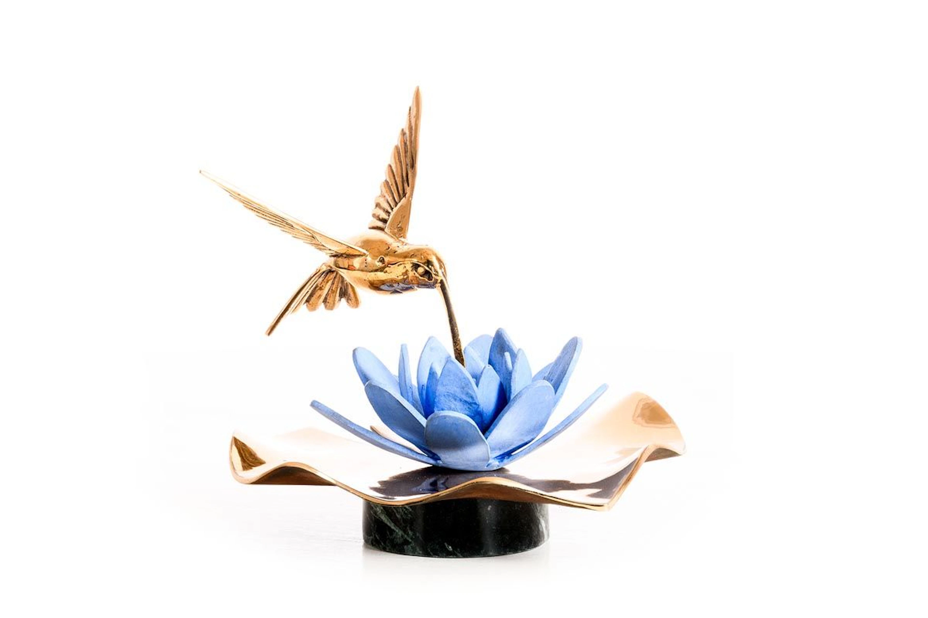 Valentin Bostan (b.1996) Hummingbird at the Water Lily (2026)