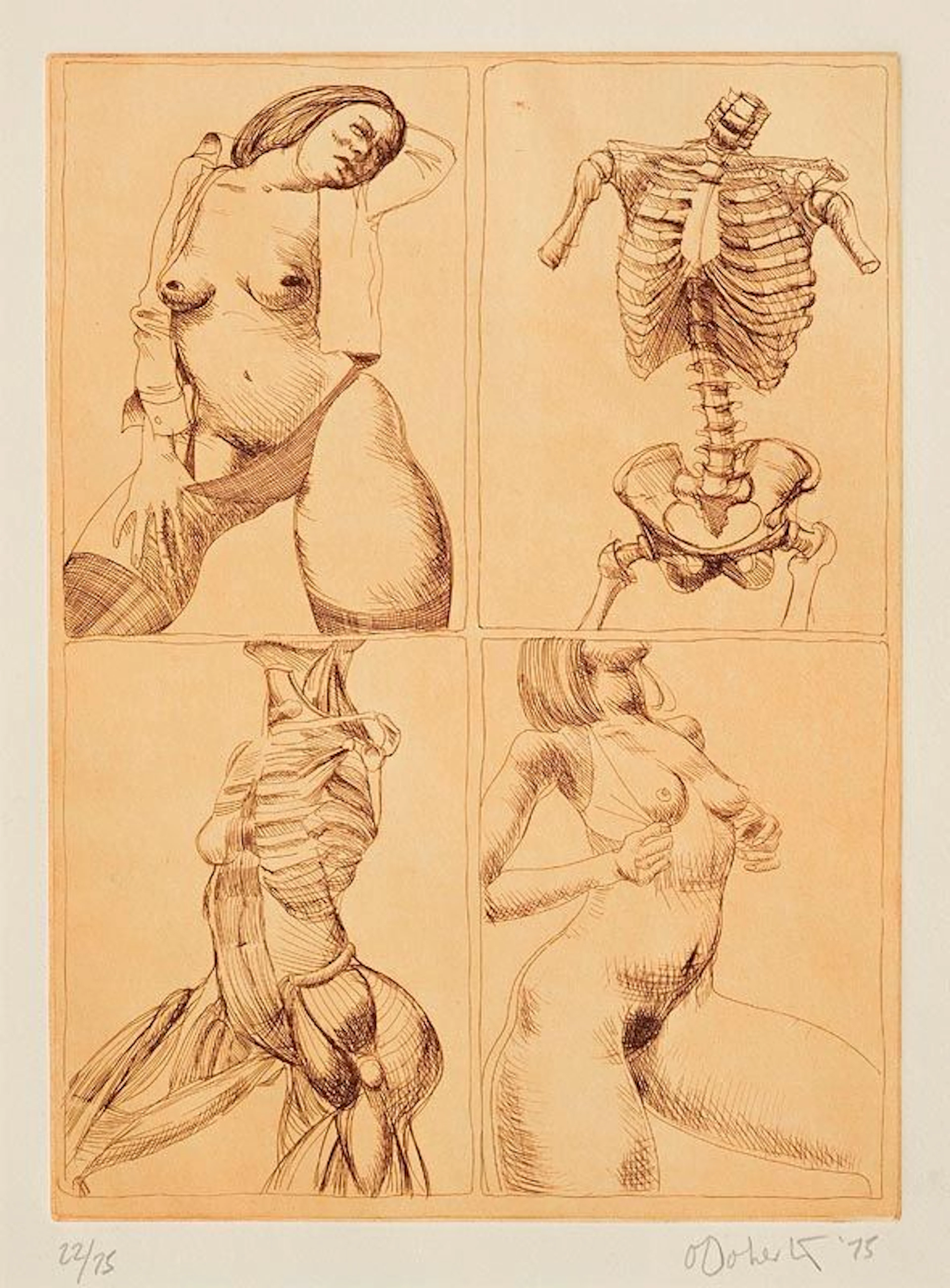 Eamonn O'Doherty (b.1939) Figure Study (1975)