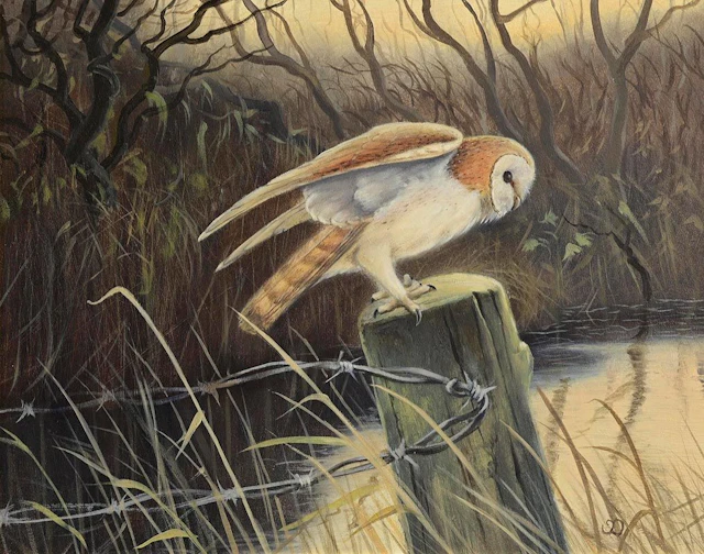 Terry Dorrian (20th/21st Century) Owl