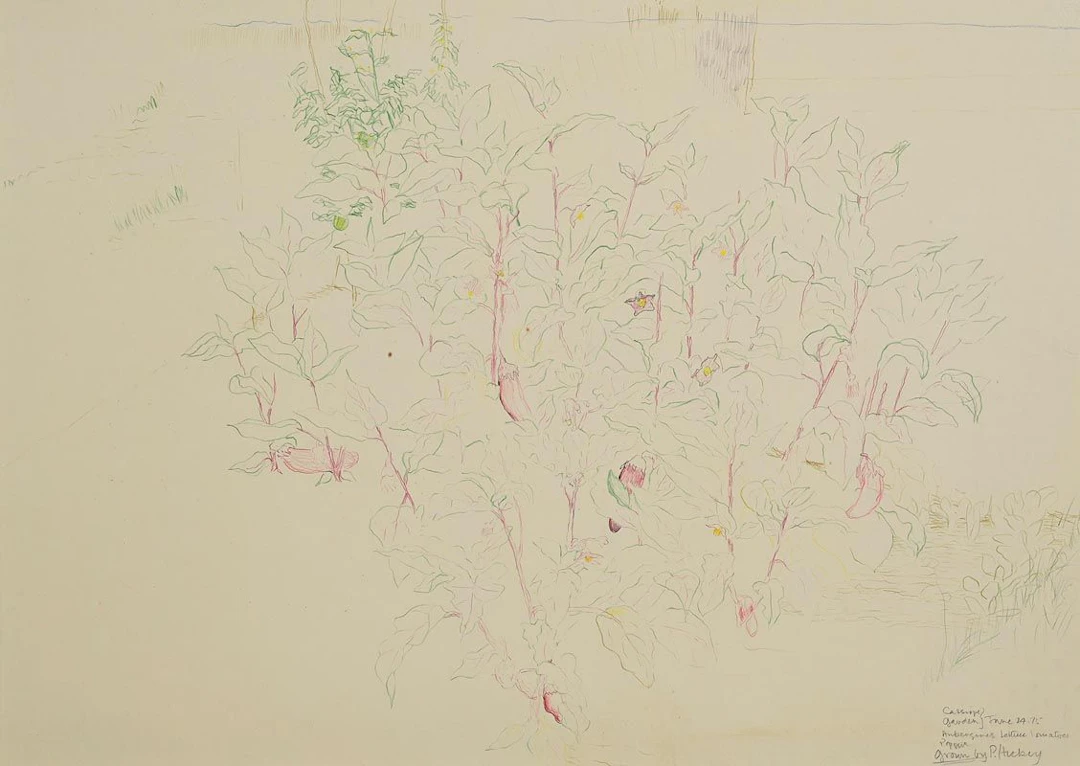 Patrick Hickey (1927-1998) Cassiope Garden (1975)