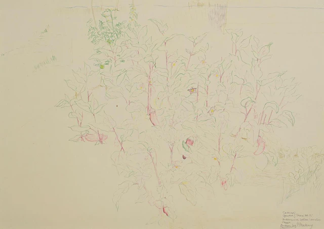 Patrick Hickey (1927-1998) Cassiope Garden (1975)