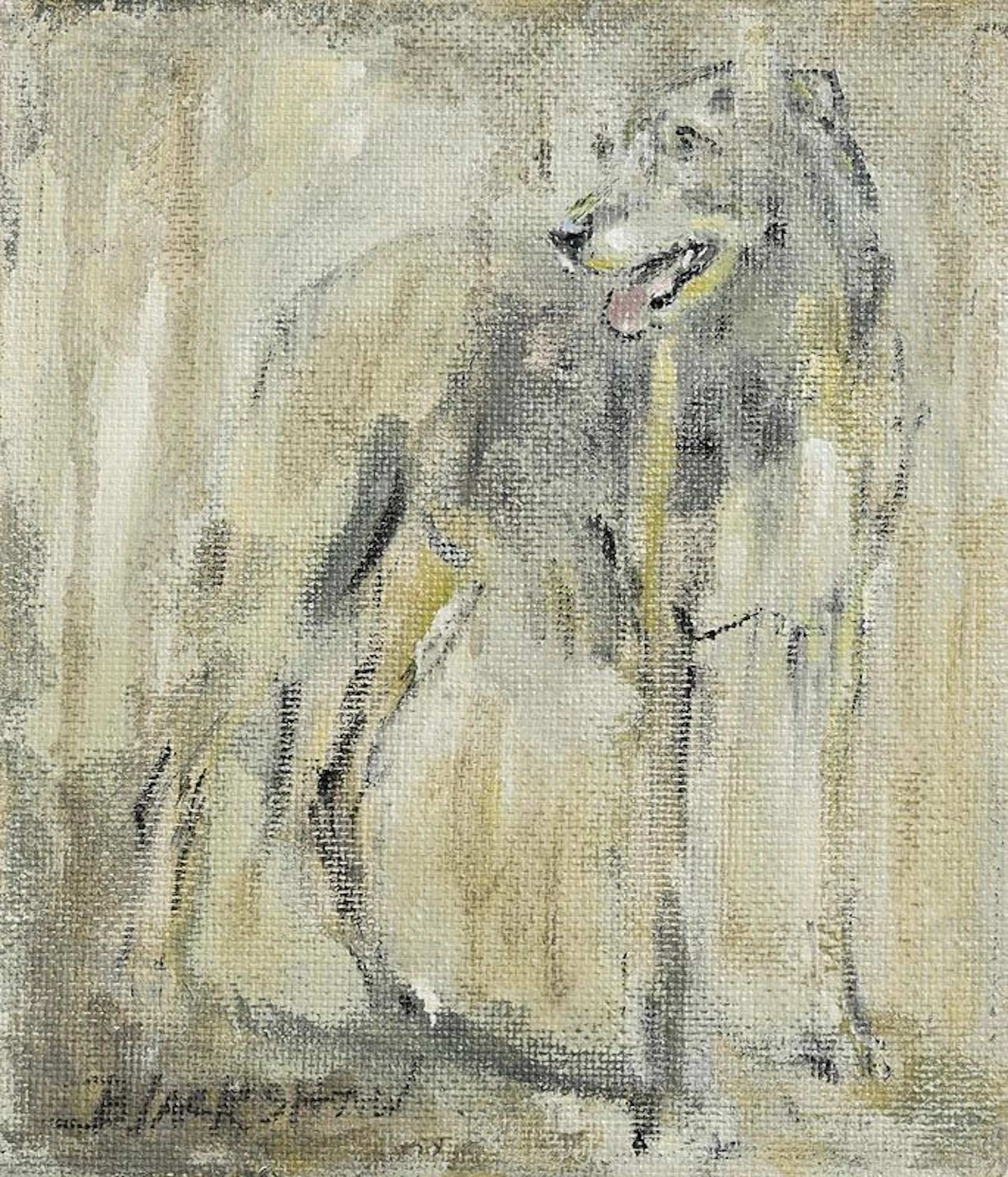 Basil Blackshaw (1932-2016) Petticrew's Greyhound