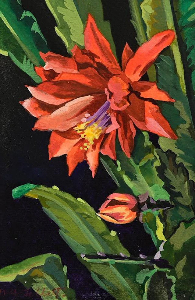 Mainie Jellett (1897-1944) Cactus in Bloom