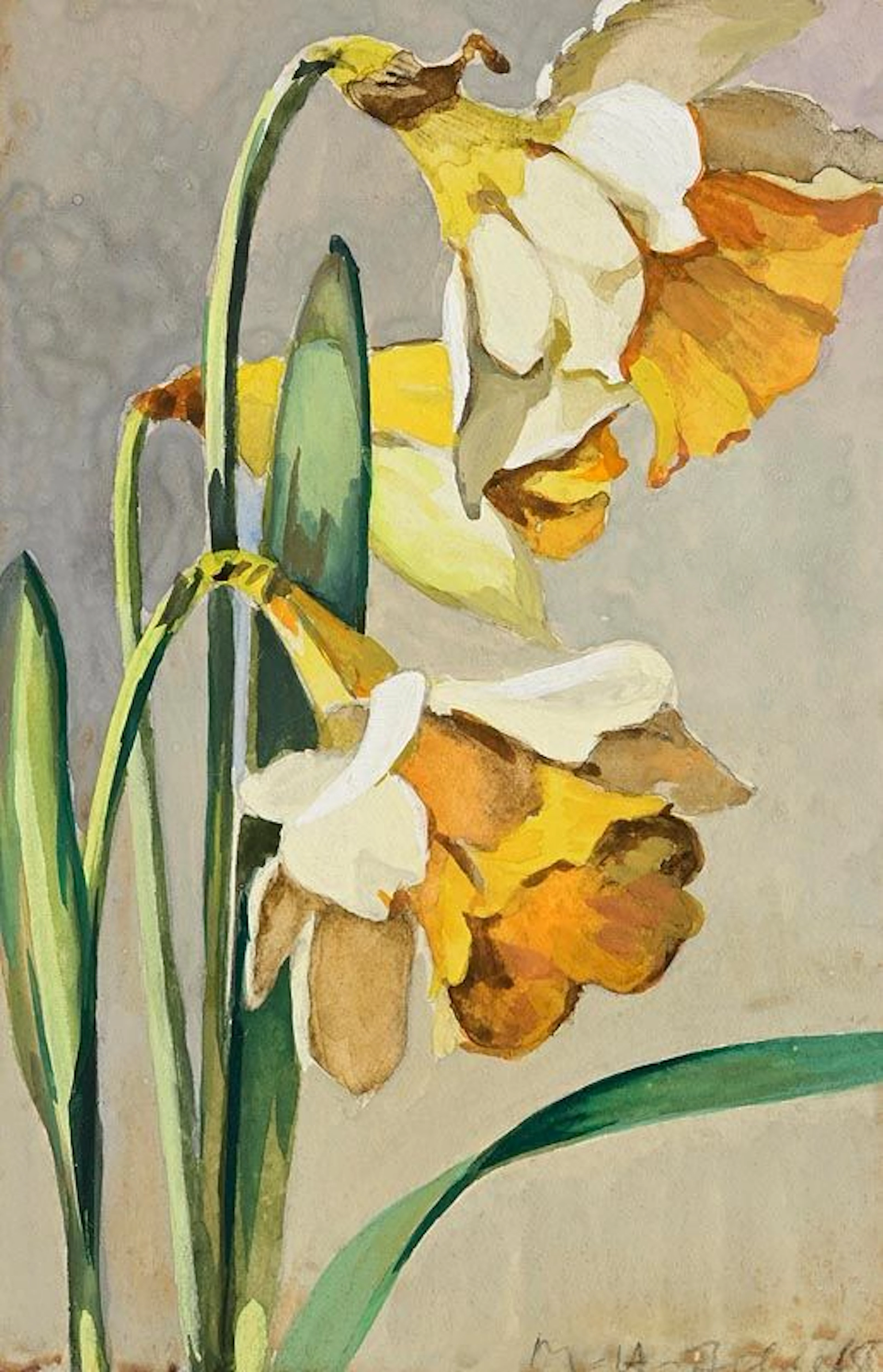 Mainie Jellett (1897-1944) Daffodils