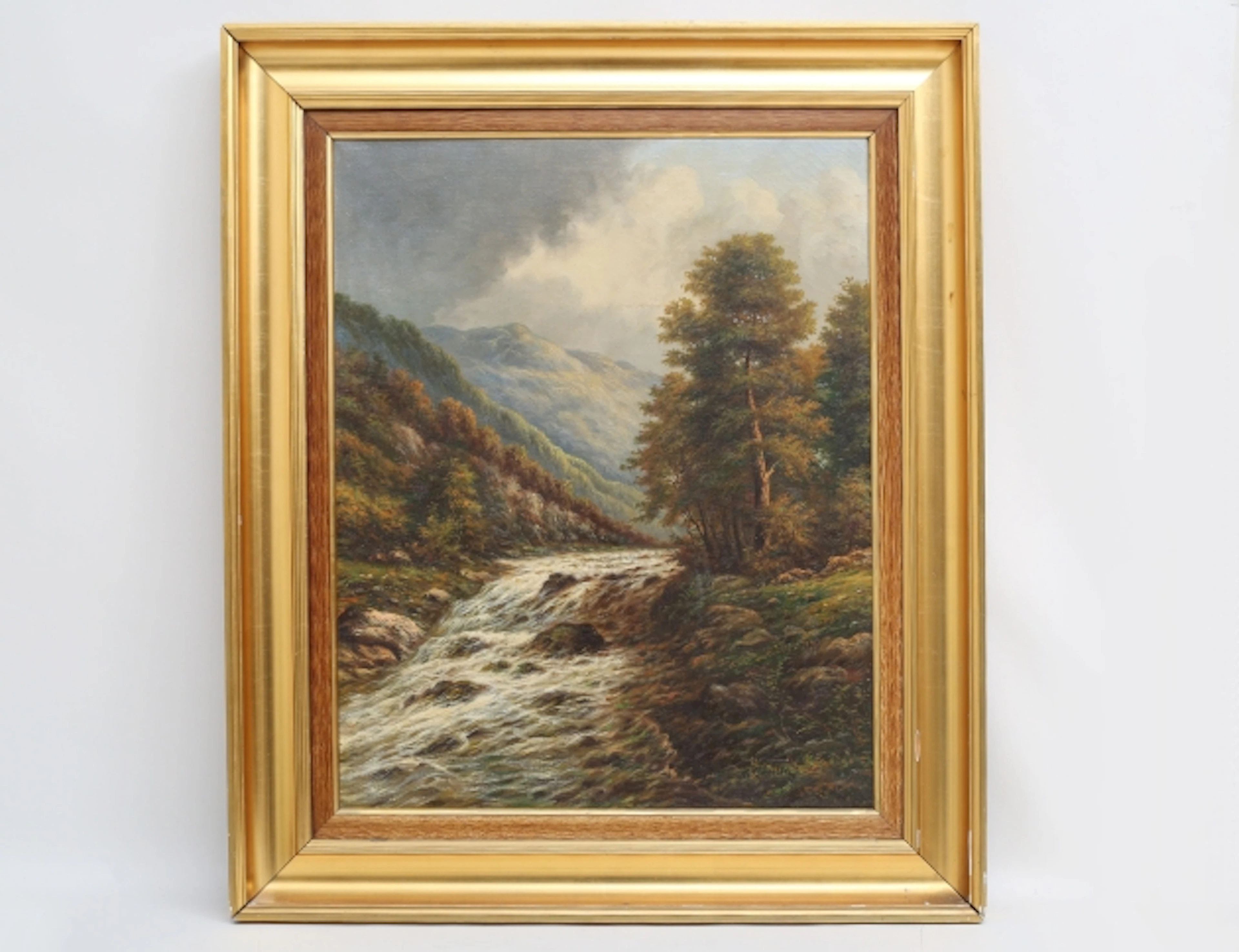 Walter Olbrich