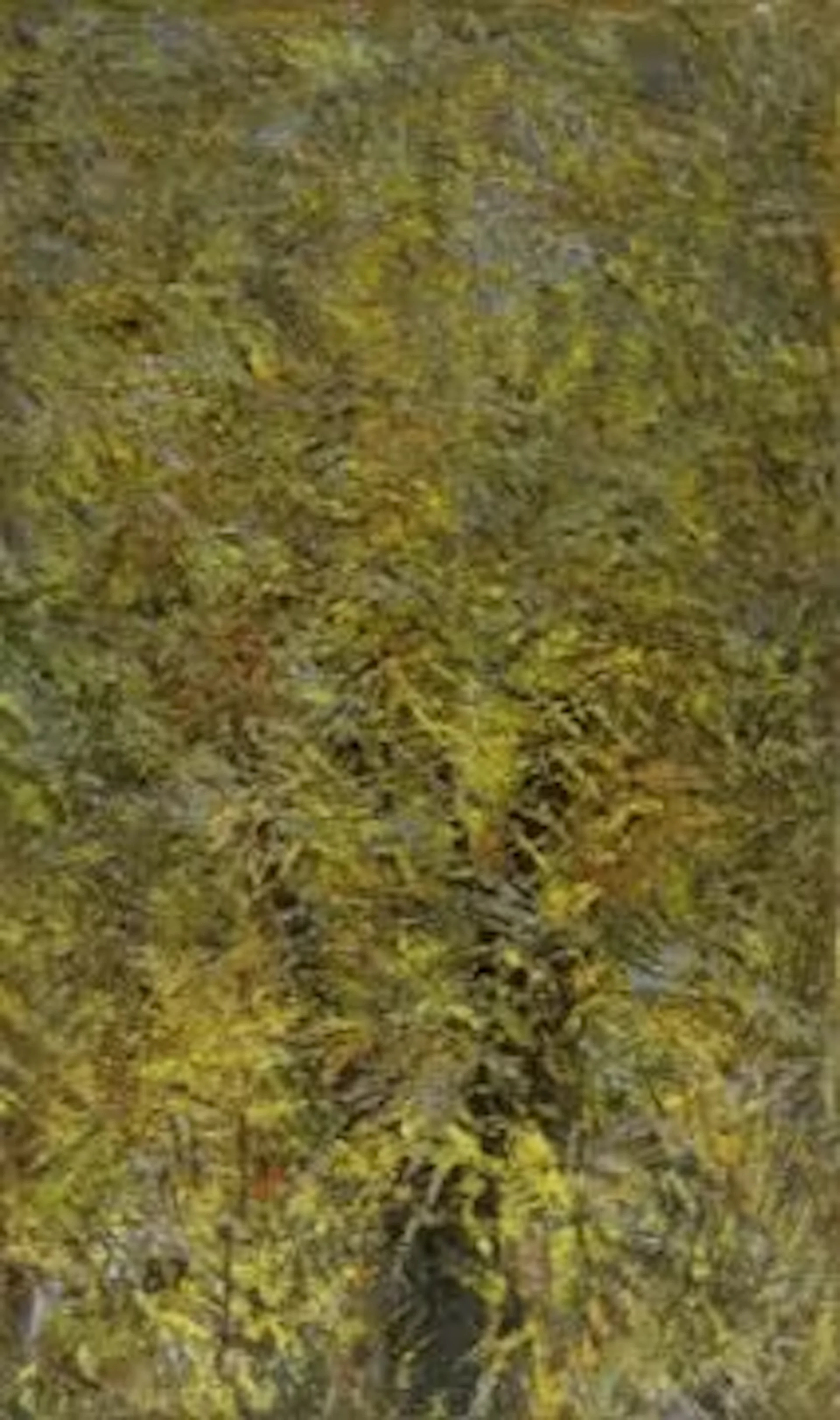 Glover, Ablade: "Foresty Blues I 16".