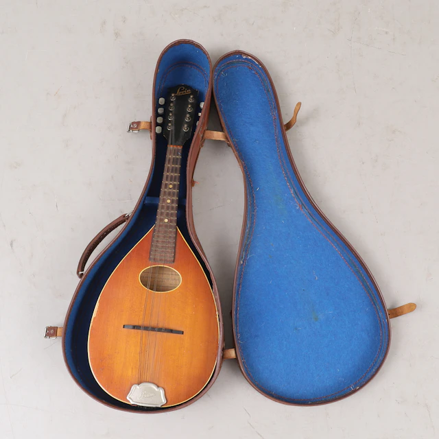 MANDOLIN, Levin.