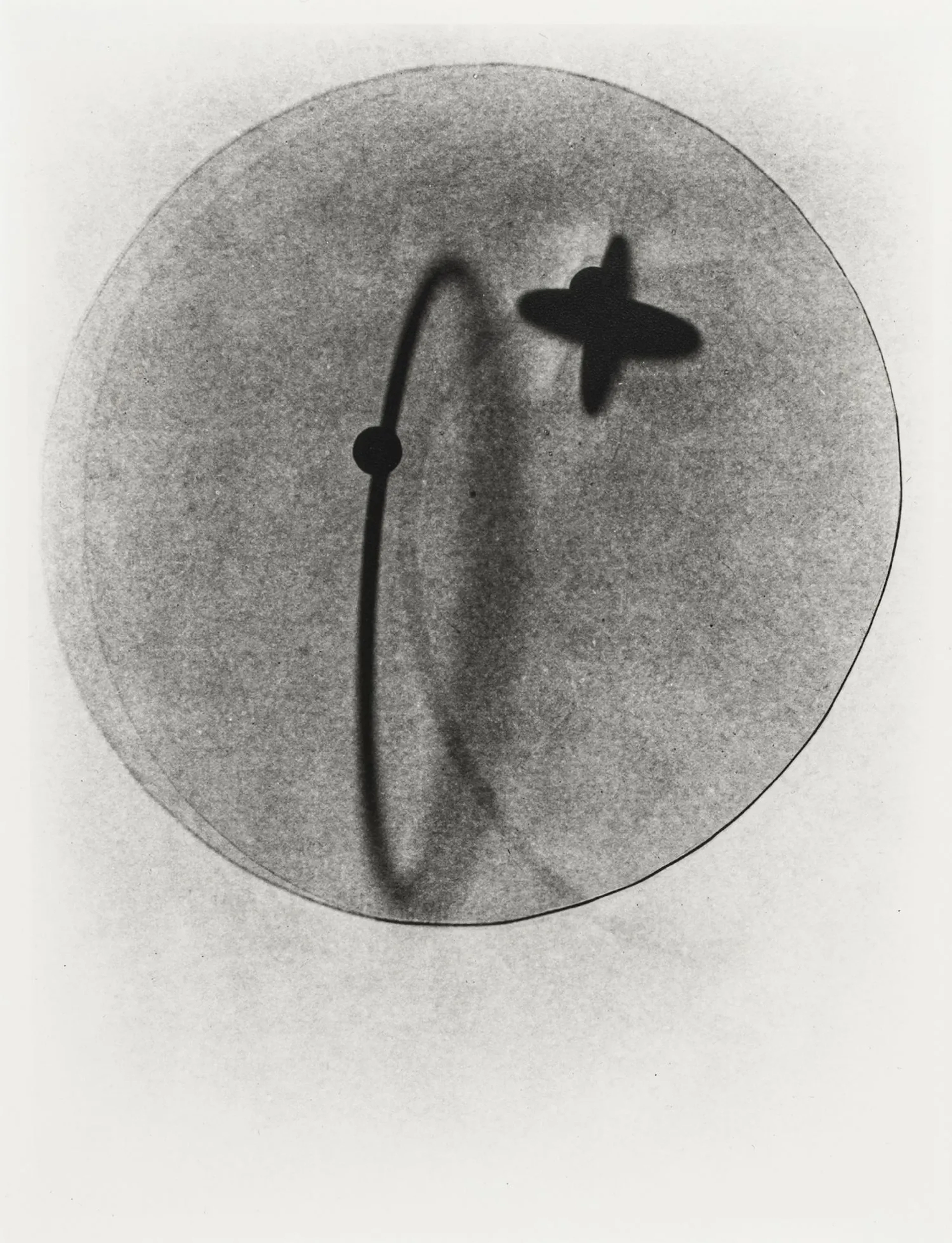 Moholy-Nagy, Laszló