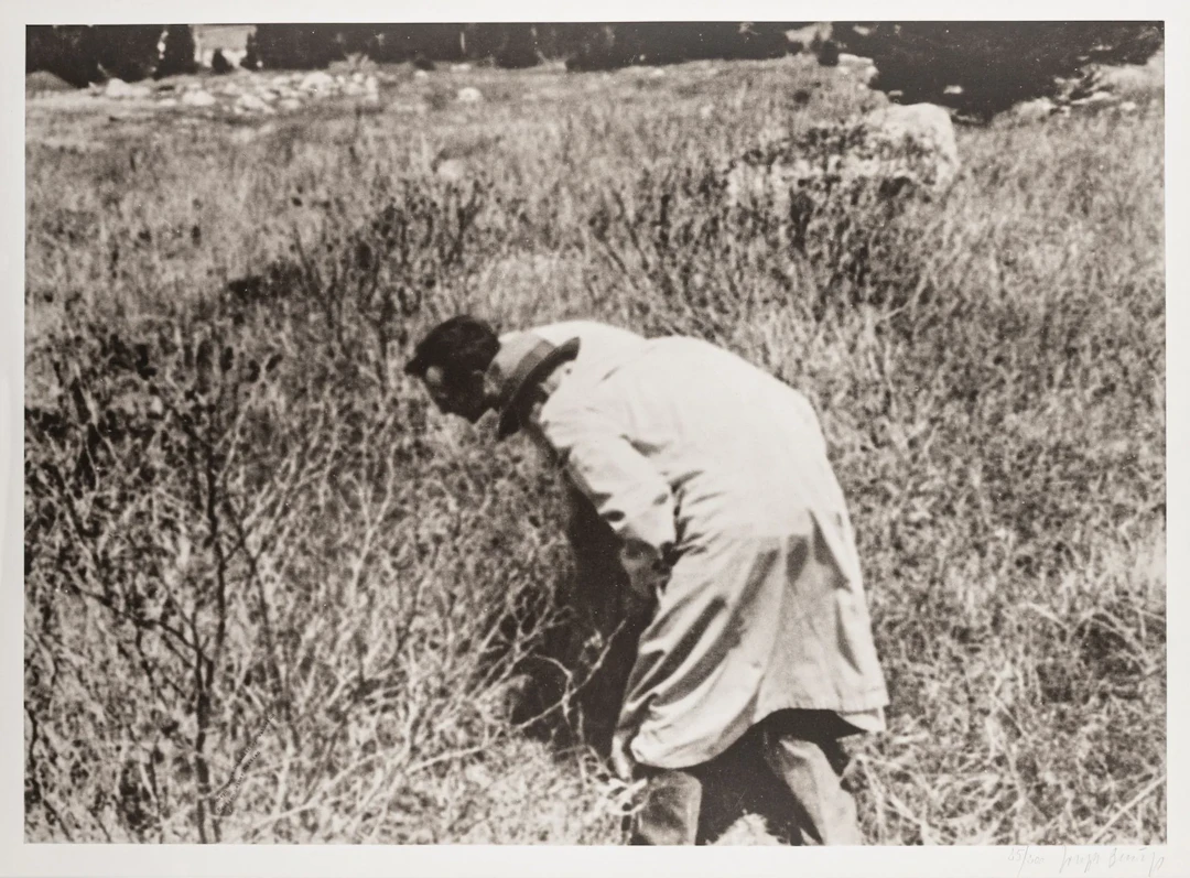 Fluxus