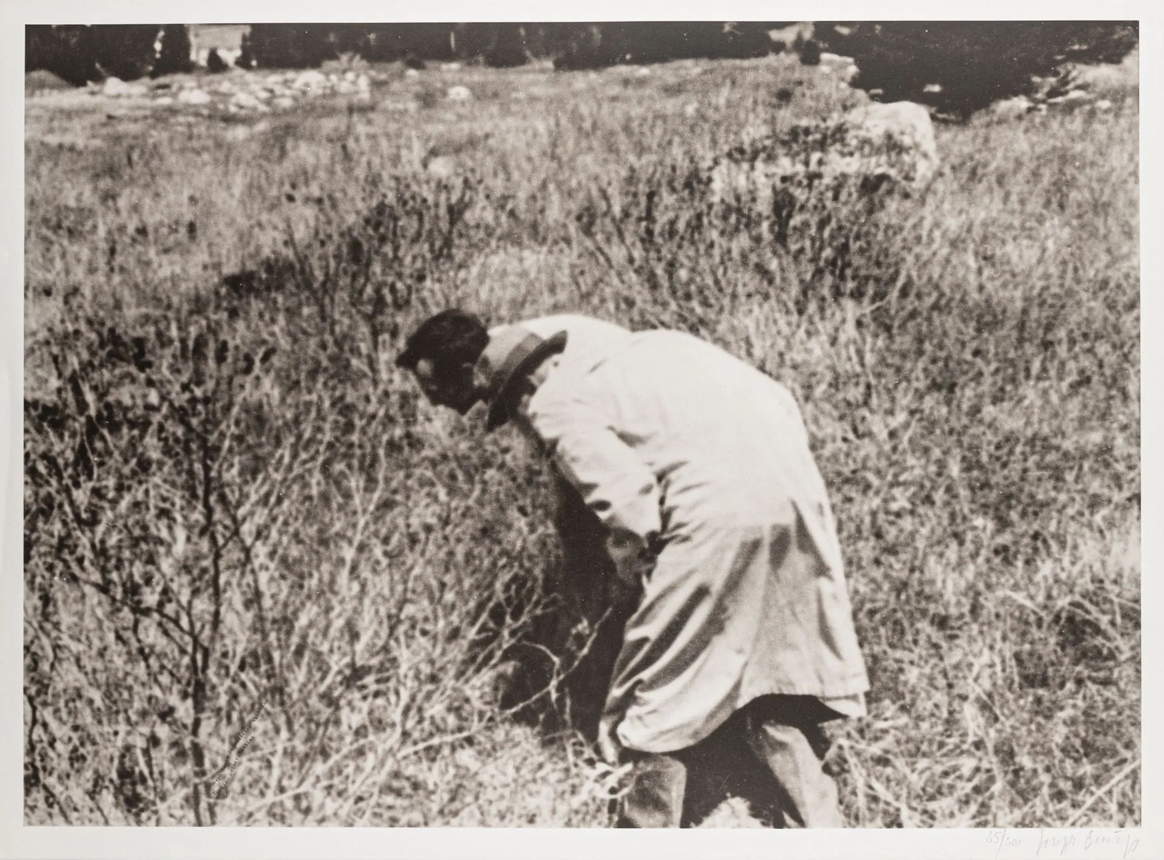 Fluxus
