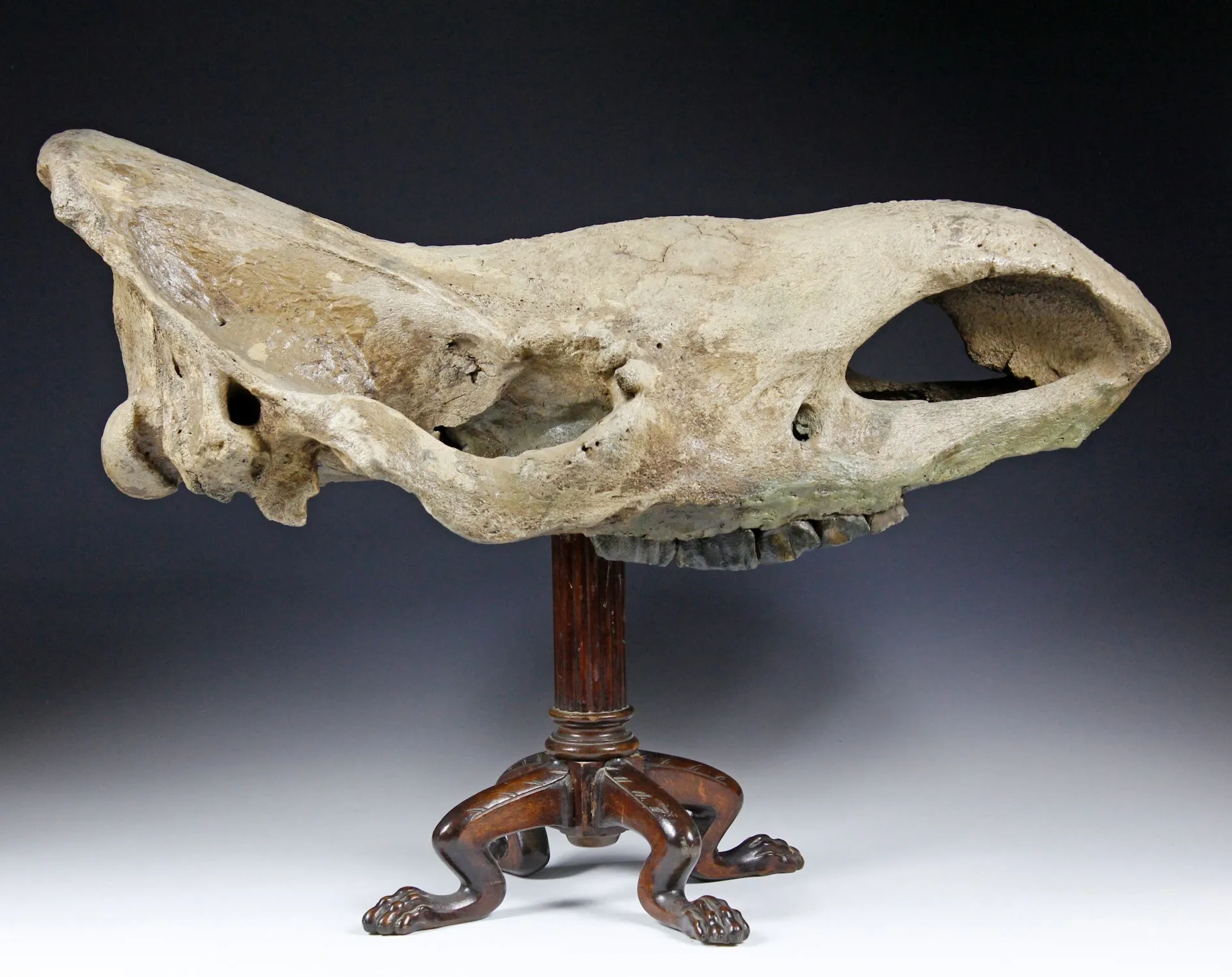 Minerals & Fossils