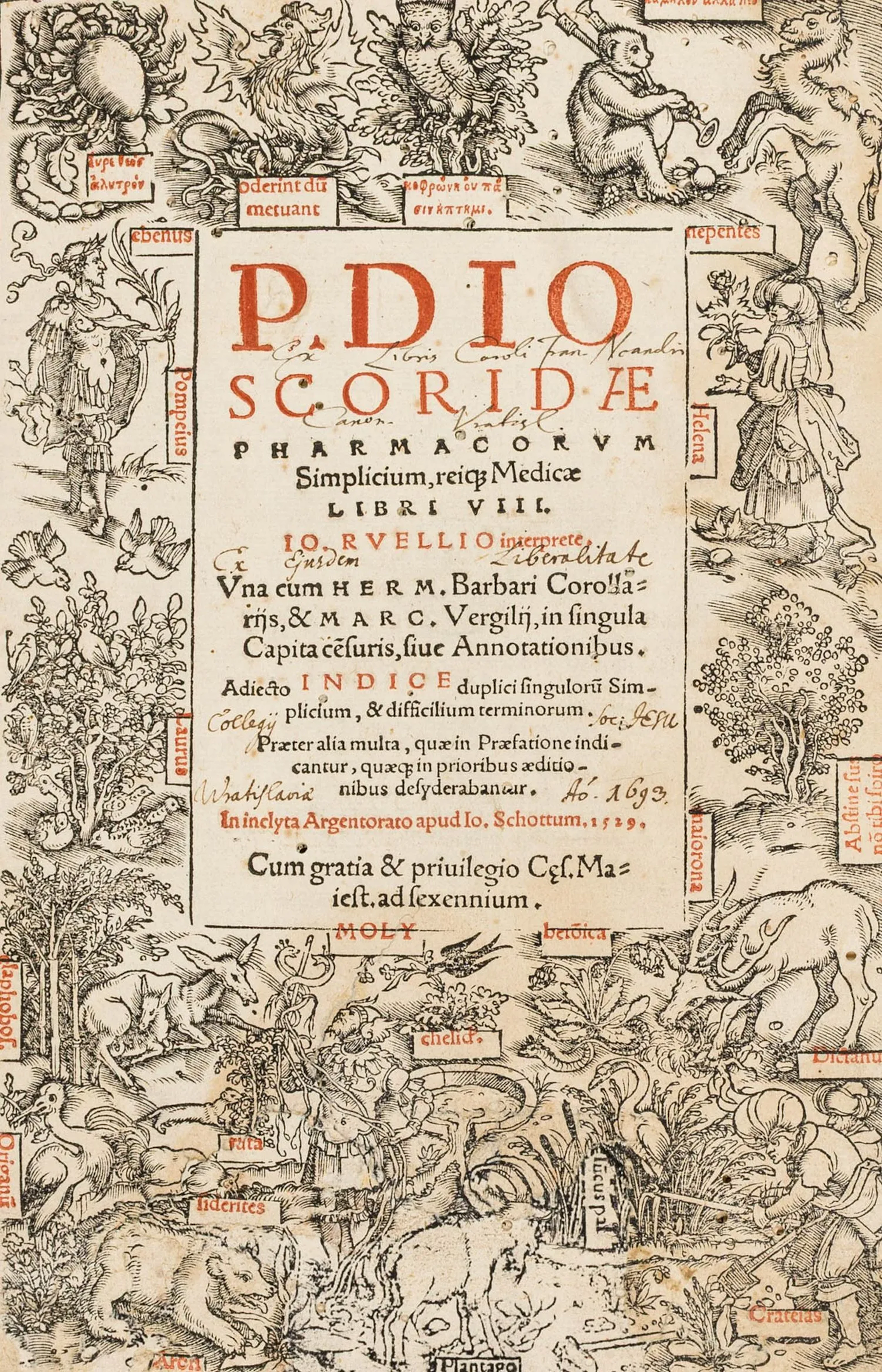 Dioscorides, Pedanius