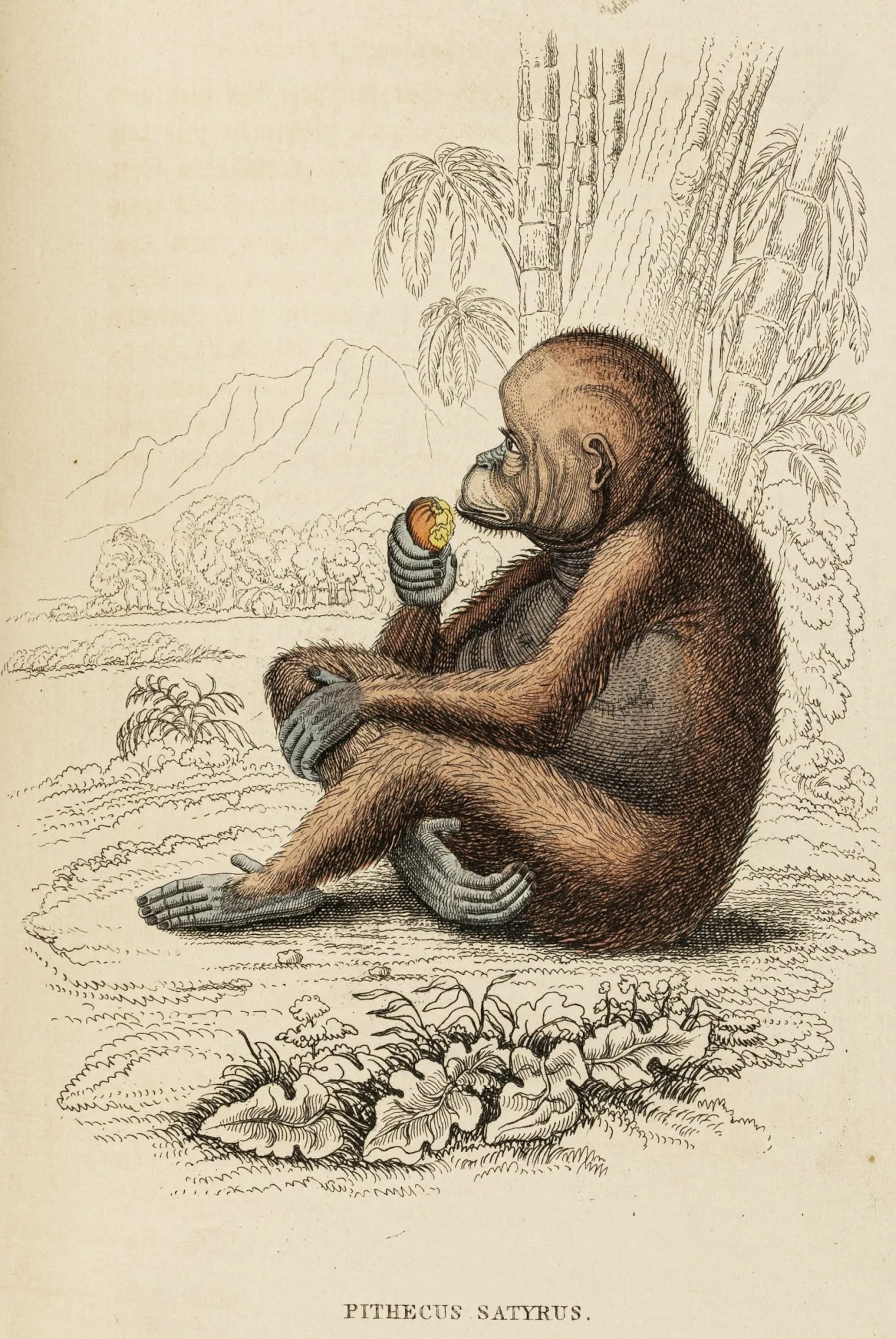 Biologie - Zoologie
